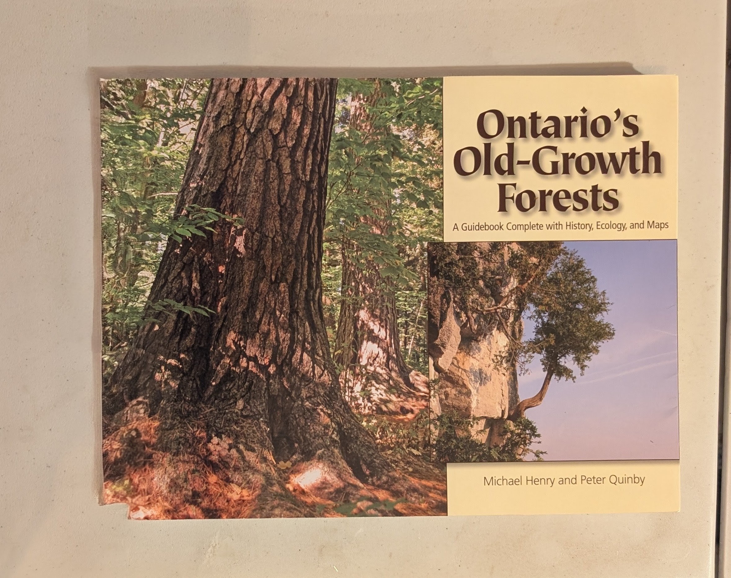 Ontario's Old-Growth Forests