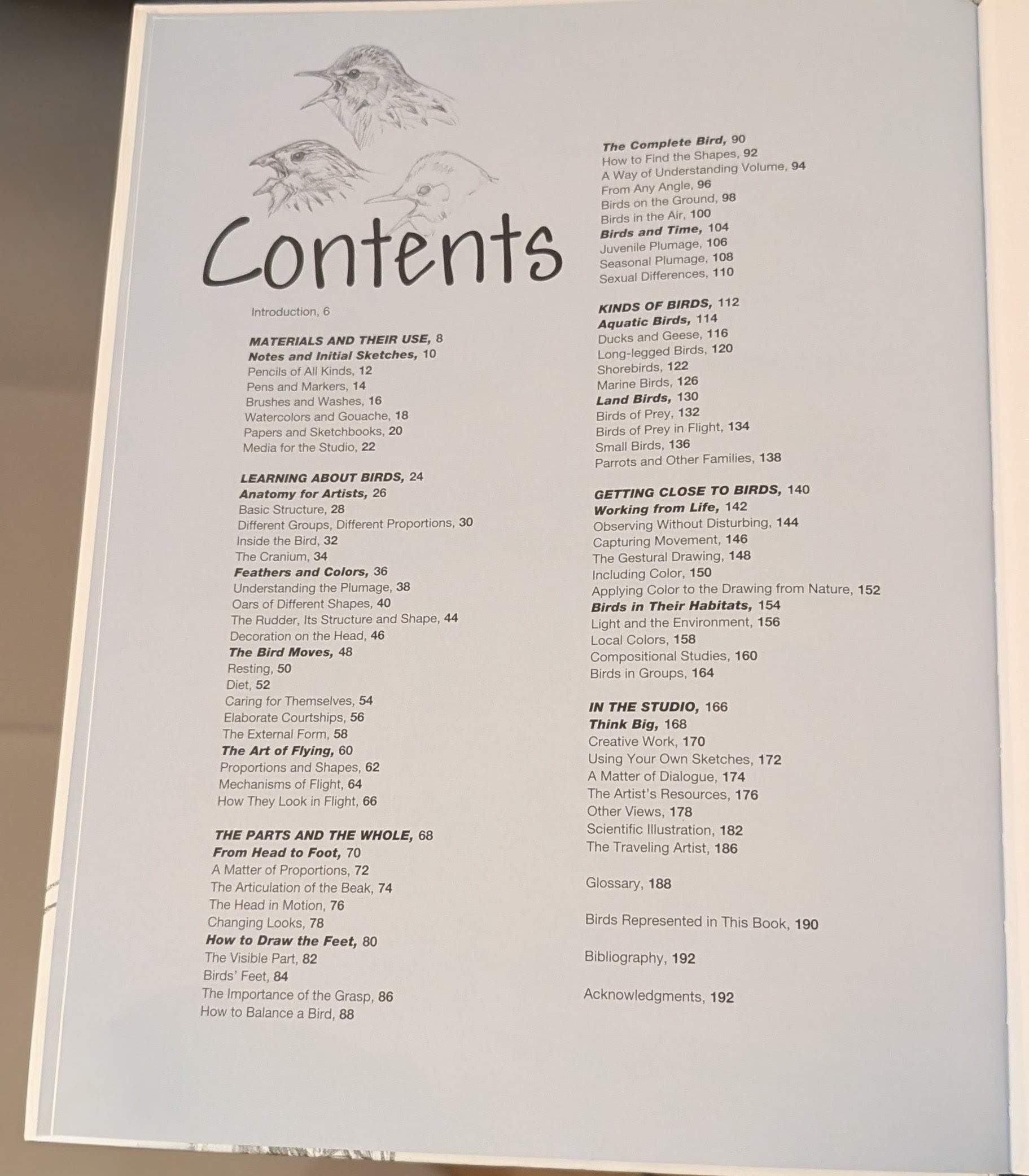 Sketching & Illustrating Birds