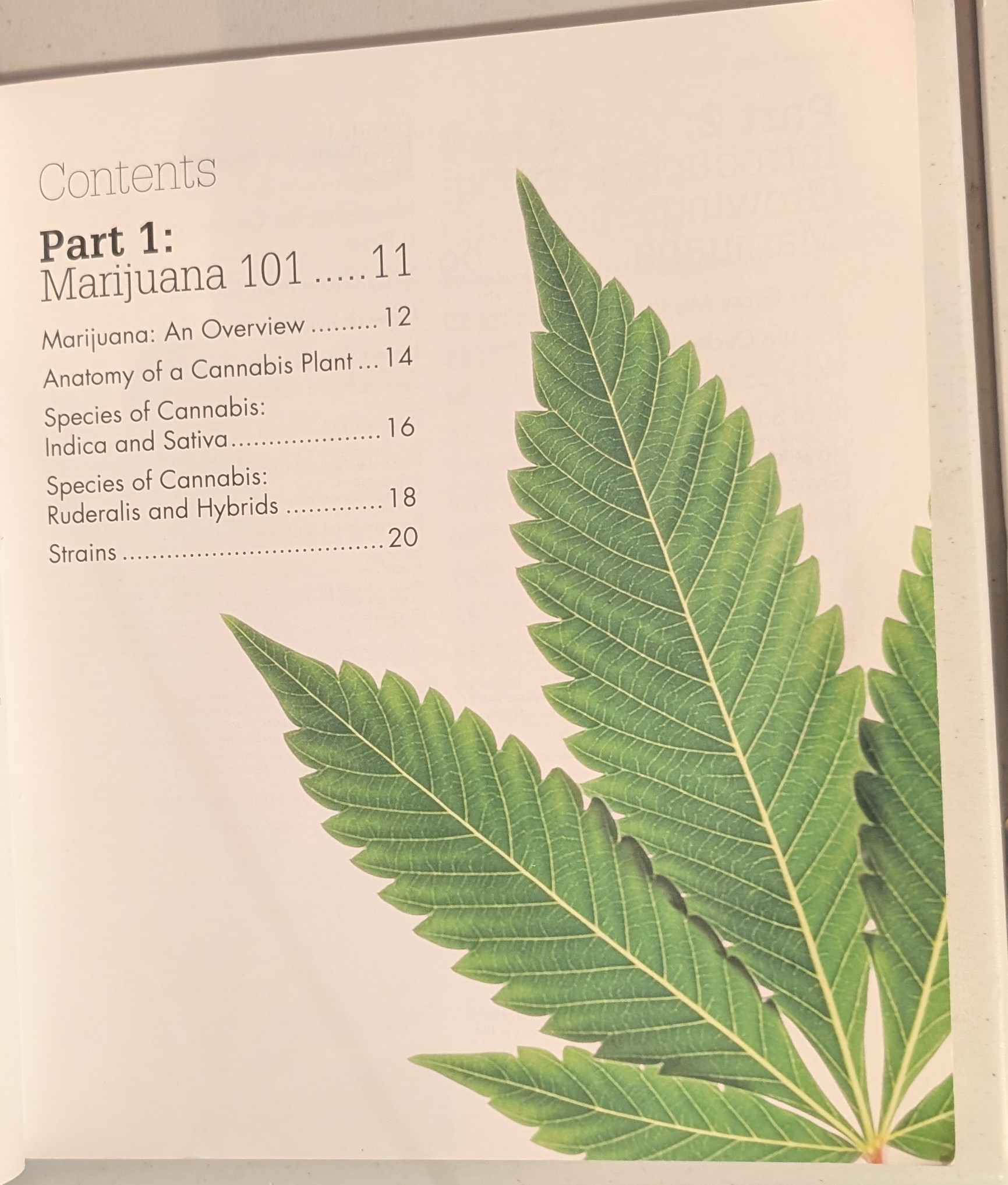 Idiot's Guides: Growing Marijuana