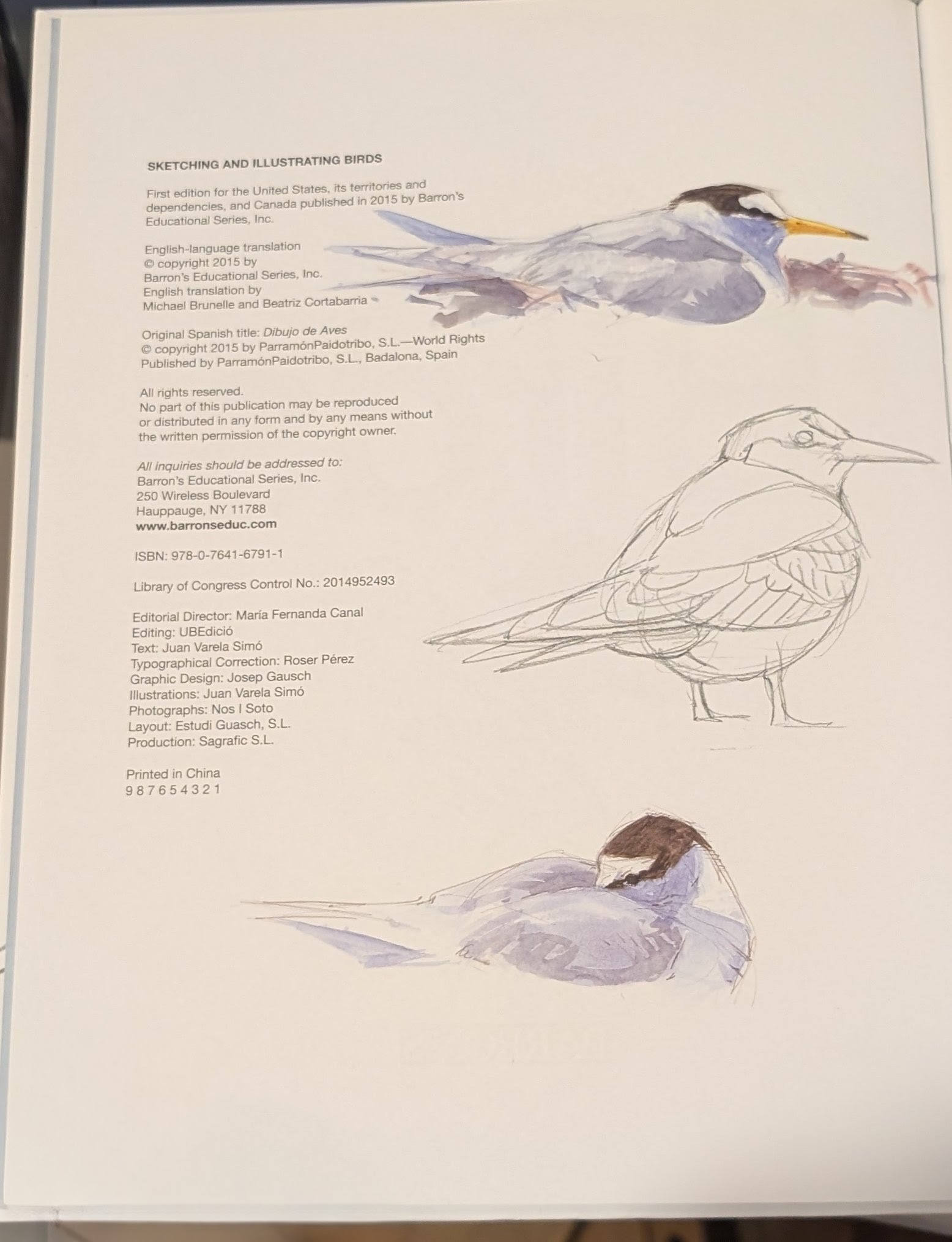 Sketching & Illustrating Birds