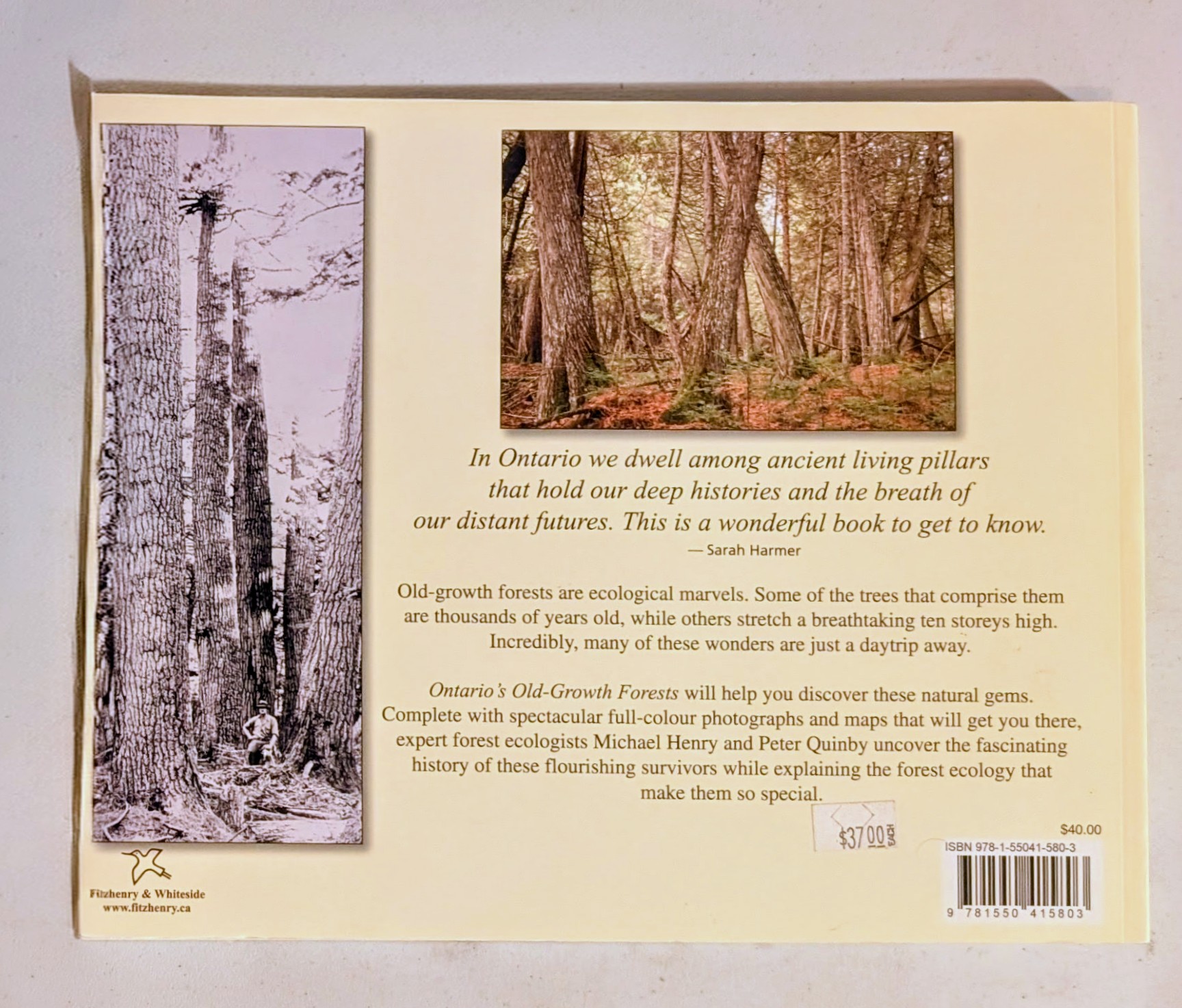 Ontario's Old-Growth Forests