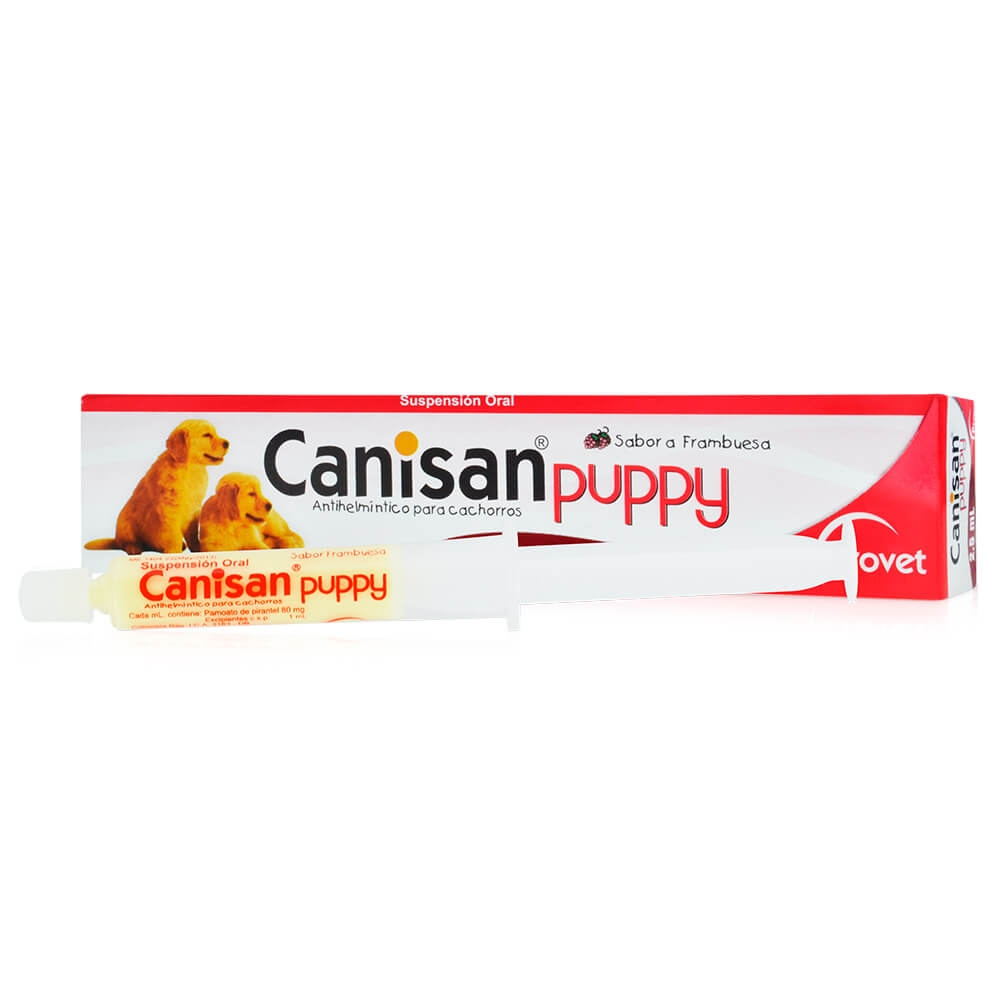 Canisan Puppy