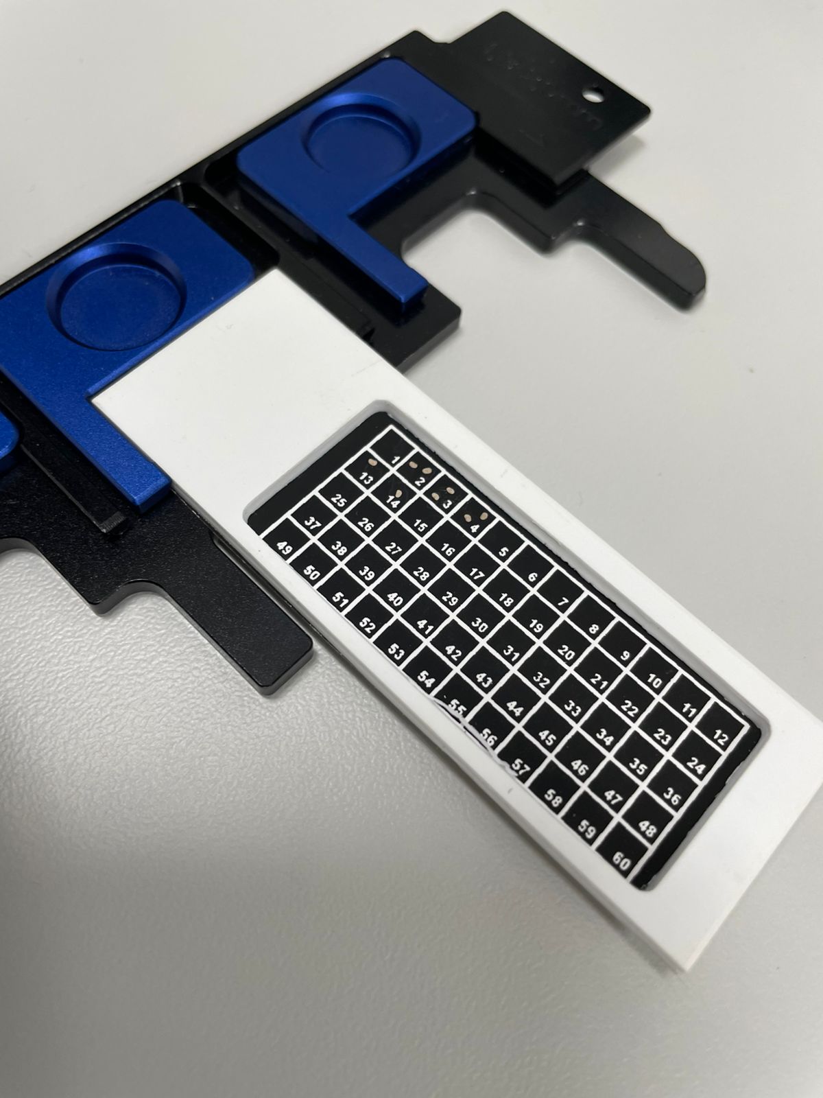 Lâminas para Microfósseis - 60 campos - kit com 10 und 