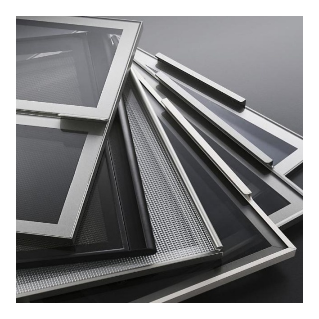 Customizable Modern Glass Panel Systems: Tailored Sizes, Frame Finishes, Glass Textures & Premium Hardware Kits