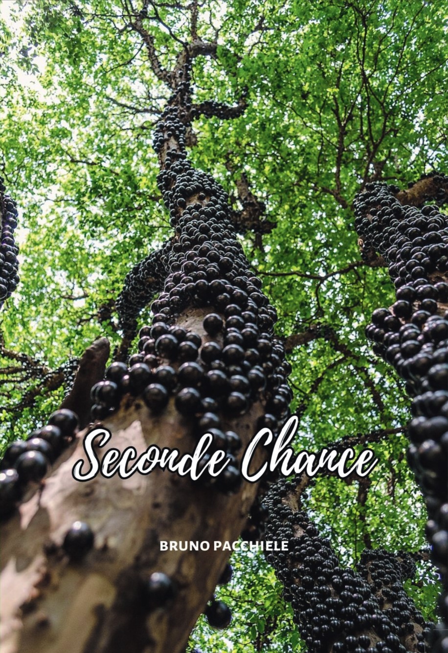 Seconde Chance (pdf)