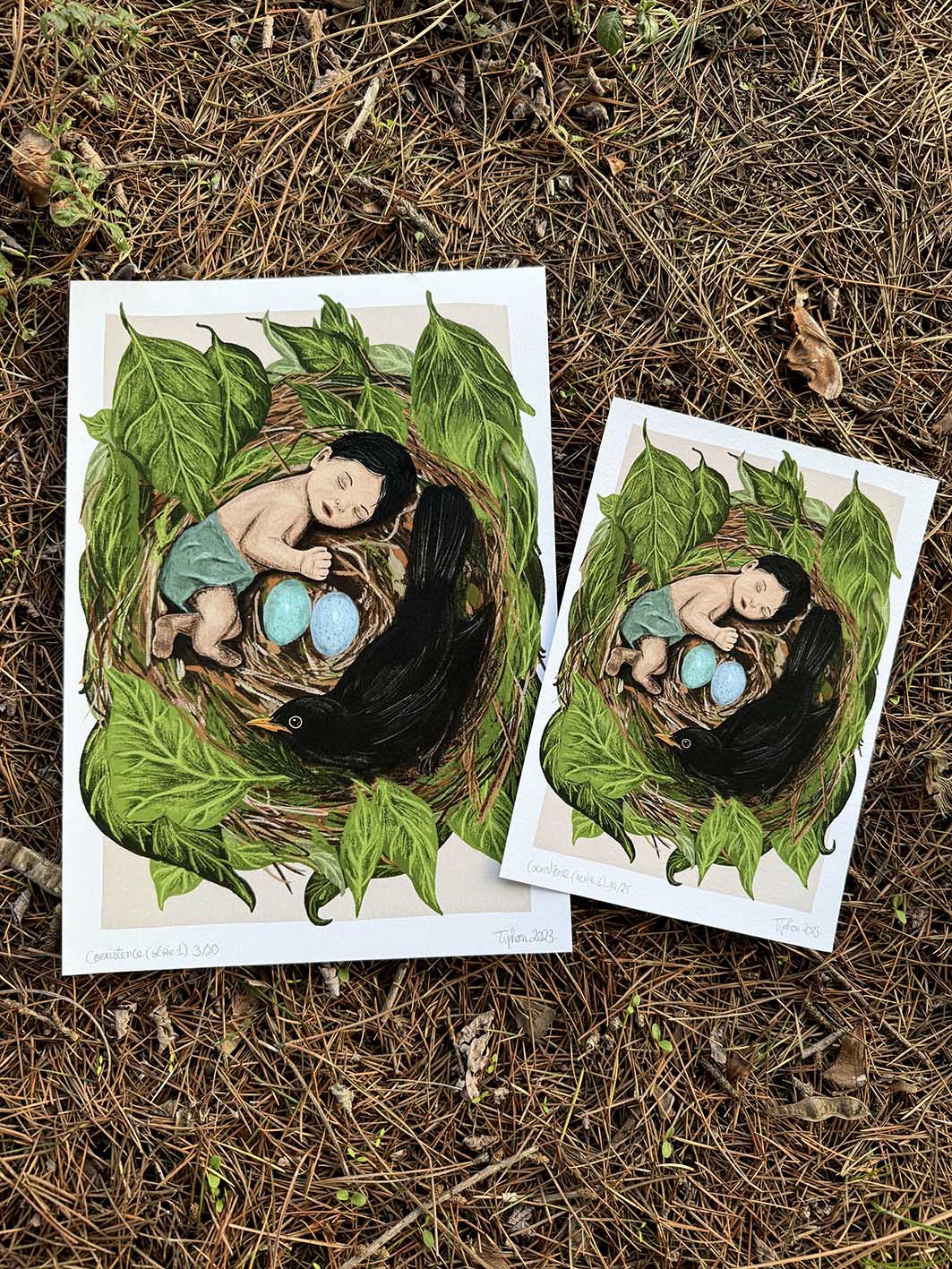 Coexistence - "enfant merle"