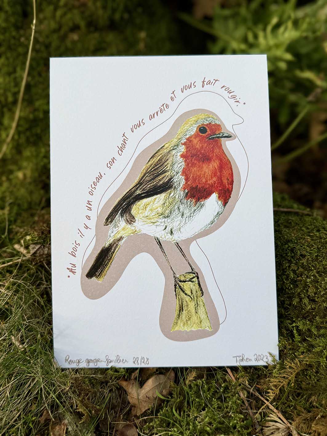 "Oiseaux poètes" - Rouge-gorge