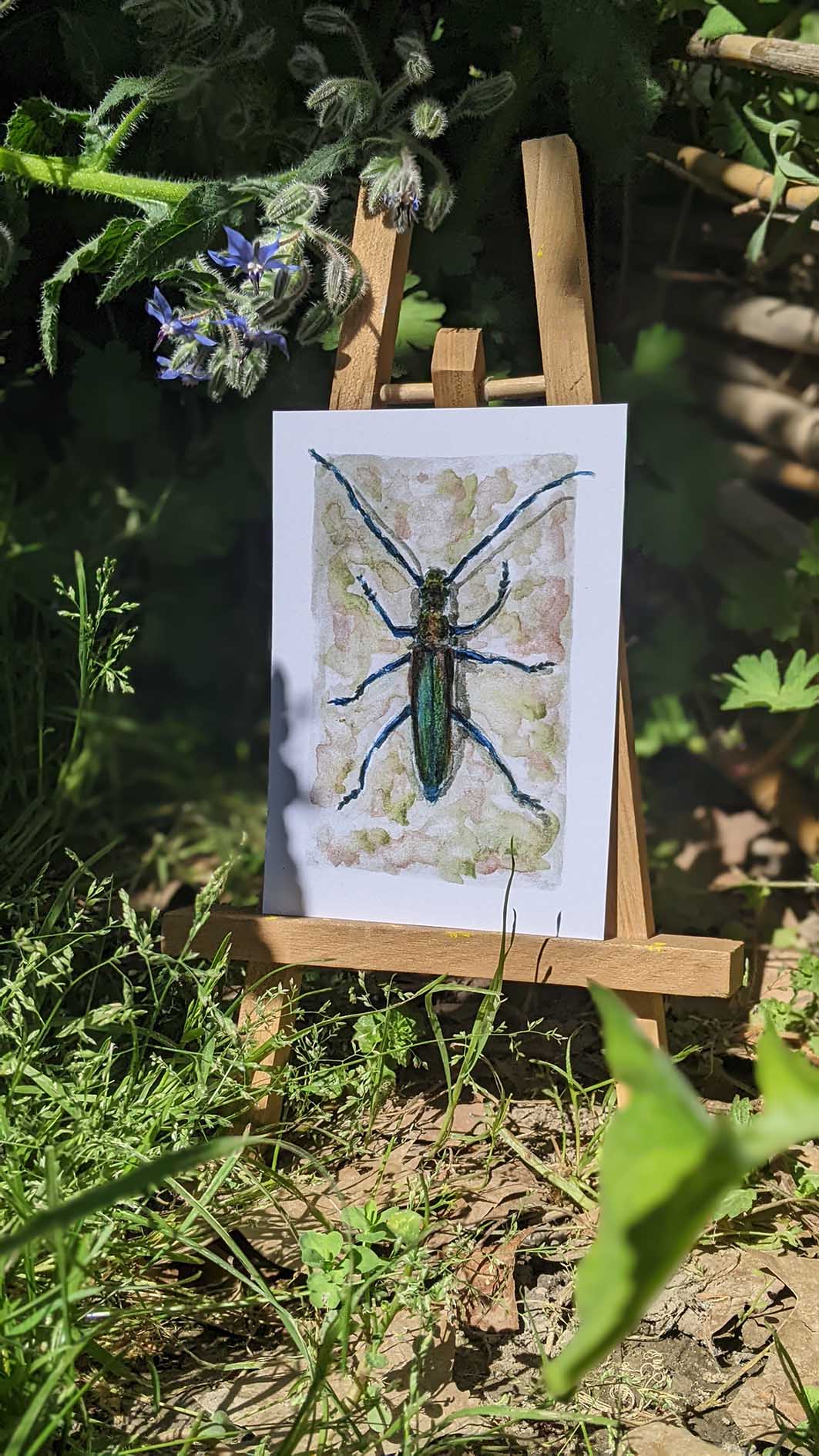 Carte Parfumeur / Aromie musquée