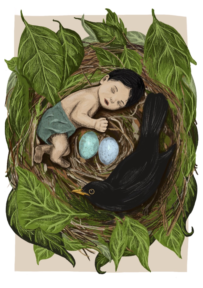 Coexistence - "enfant merle"