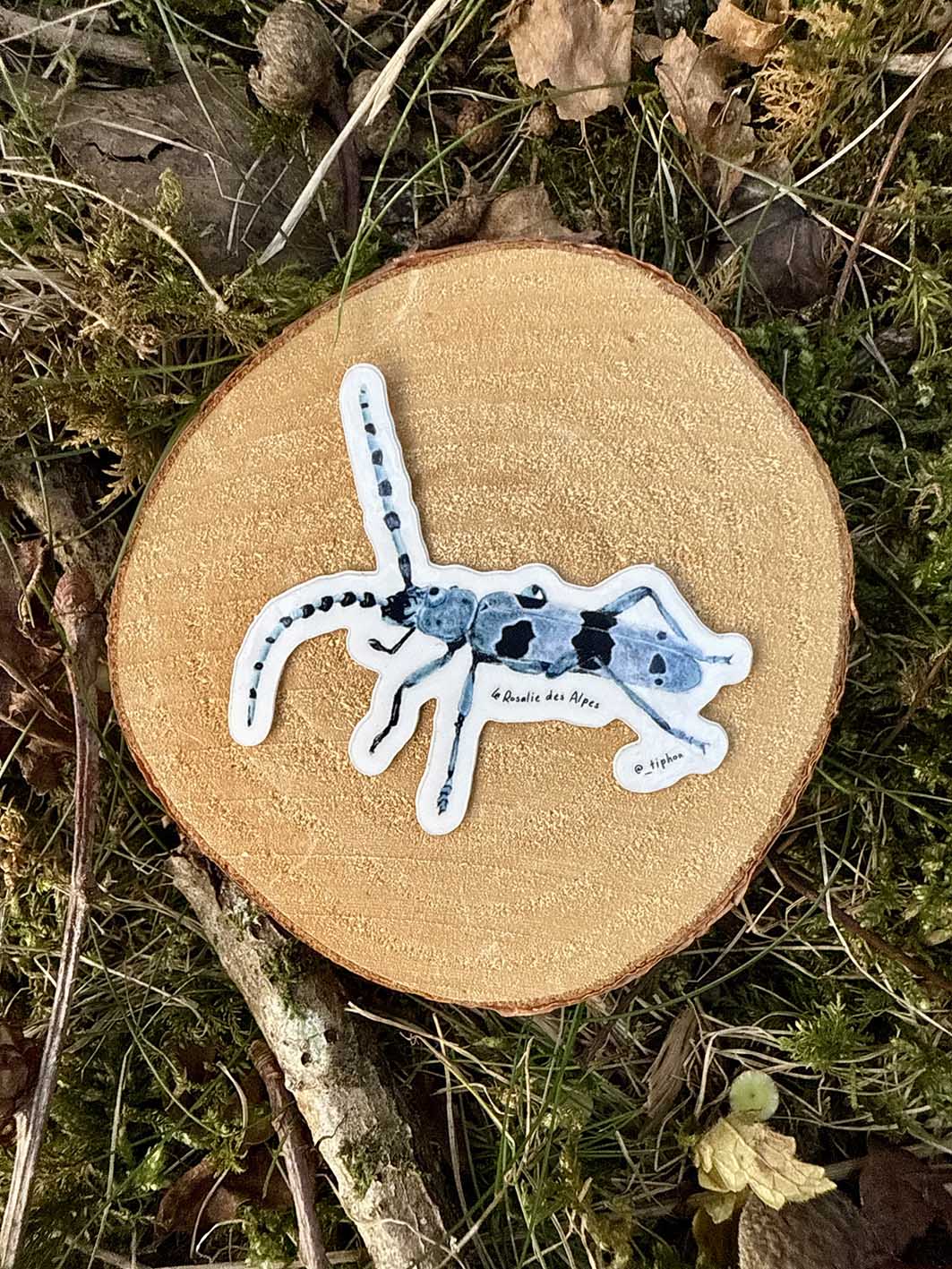 Sticker "Rosalie des Alpes"