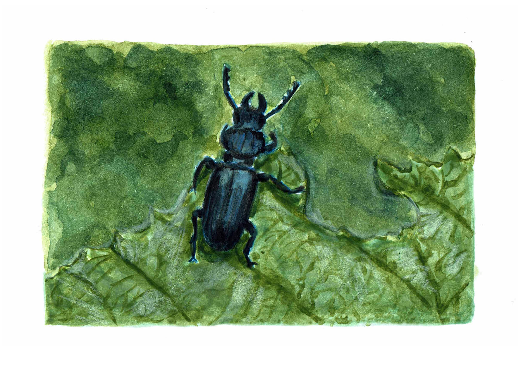 Carte Chevrette bleue