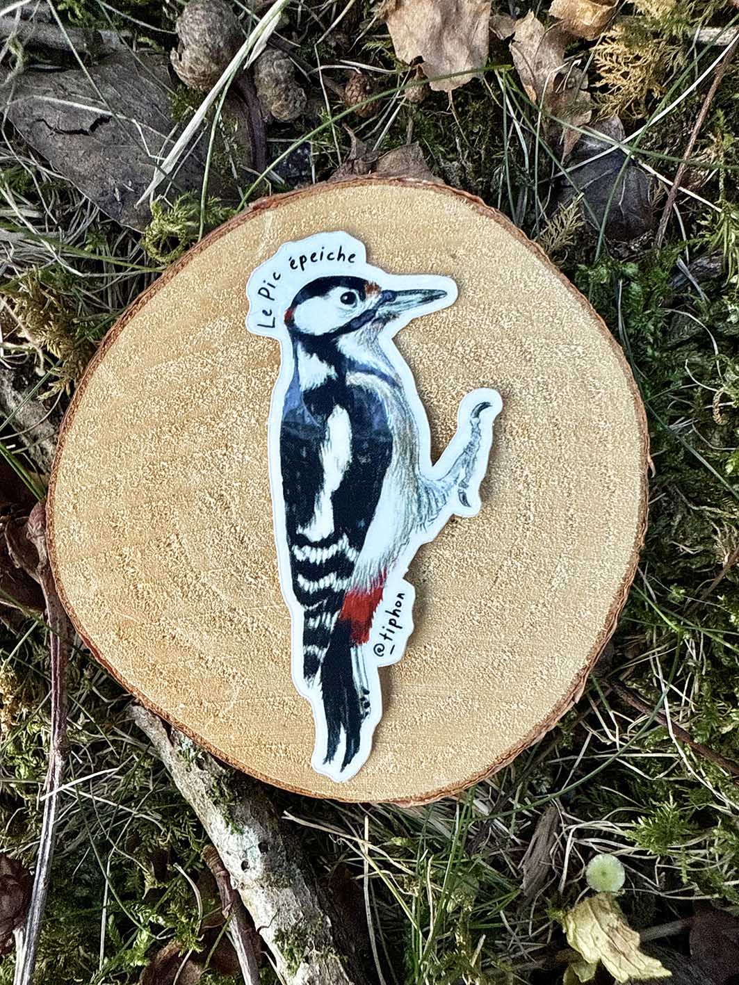 Sticker "Pic Épeiche"