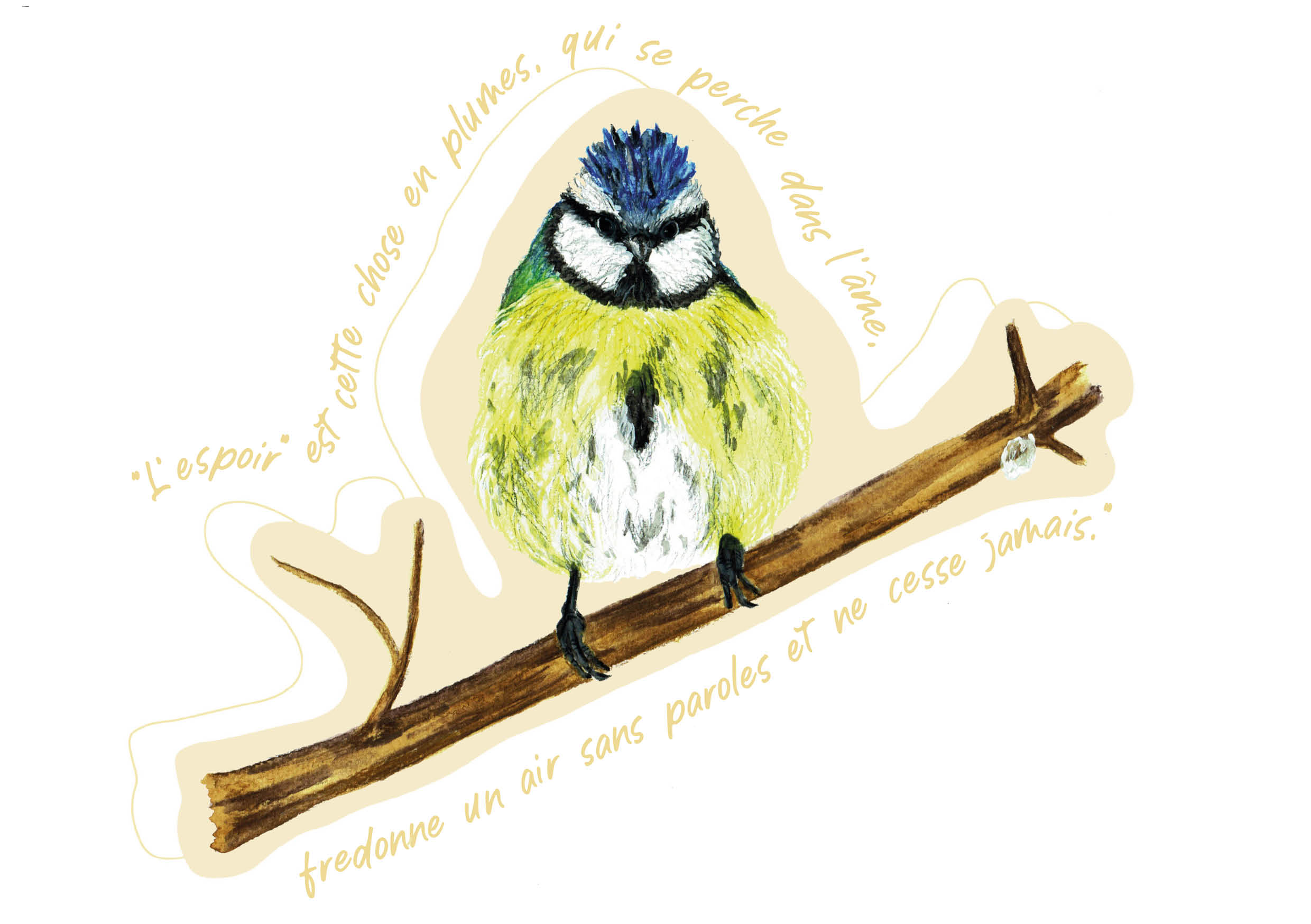 "Oiseaux poètes" - Mésange bleue