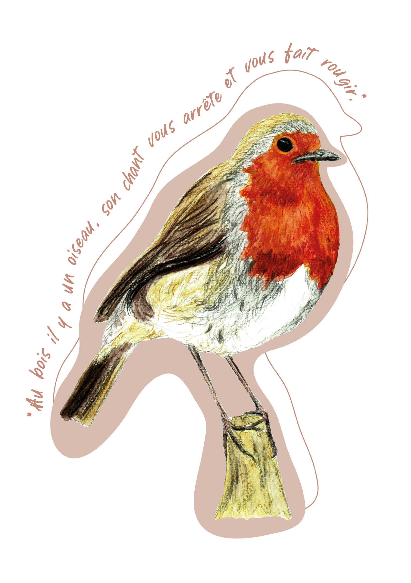 "Oiseaux poètes" - Rouge-gorge