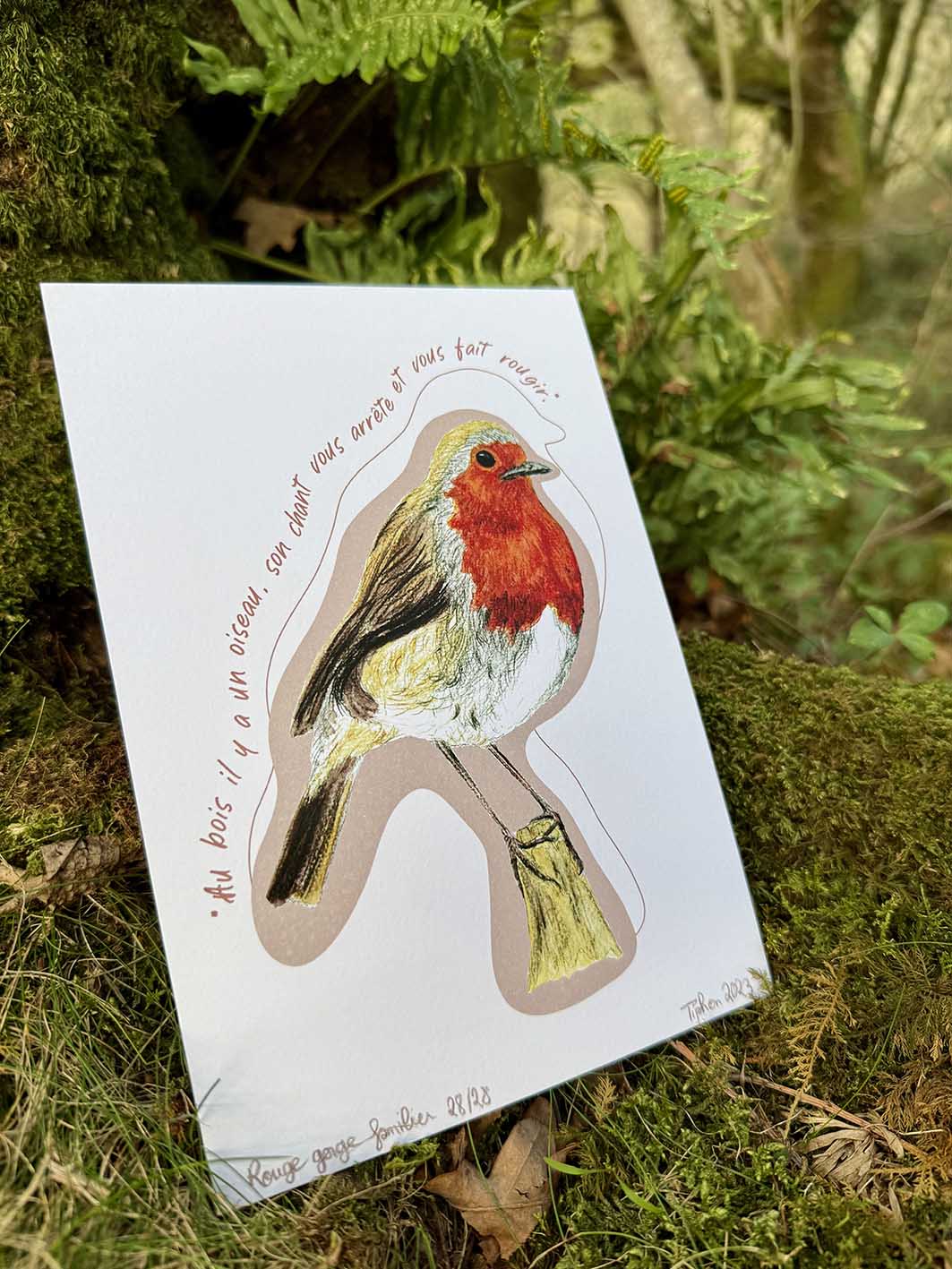 "Oiseaux poètes" - Rouge-gorge