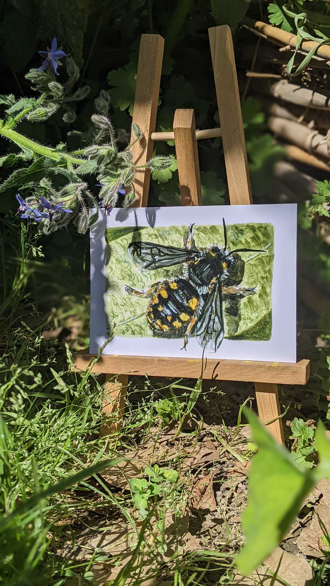 Carte abeille cotonnière