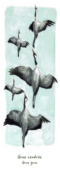 Marque-page Grues cendrées 