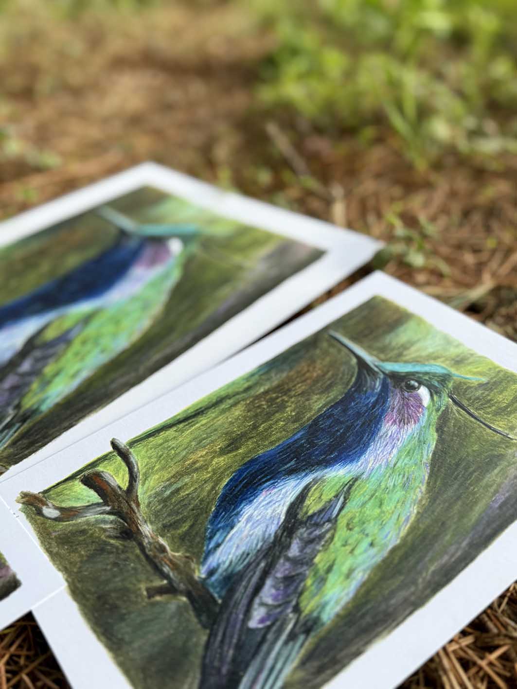 Colibri de Delalande