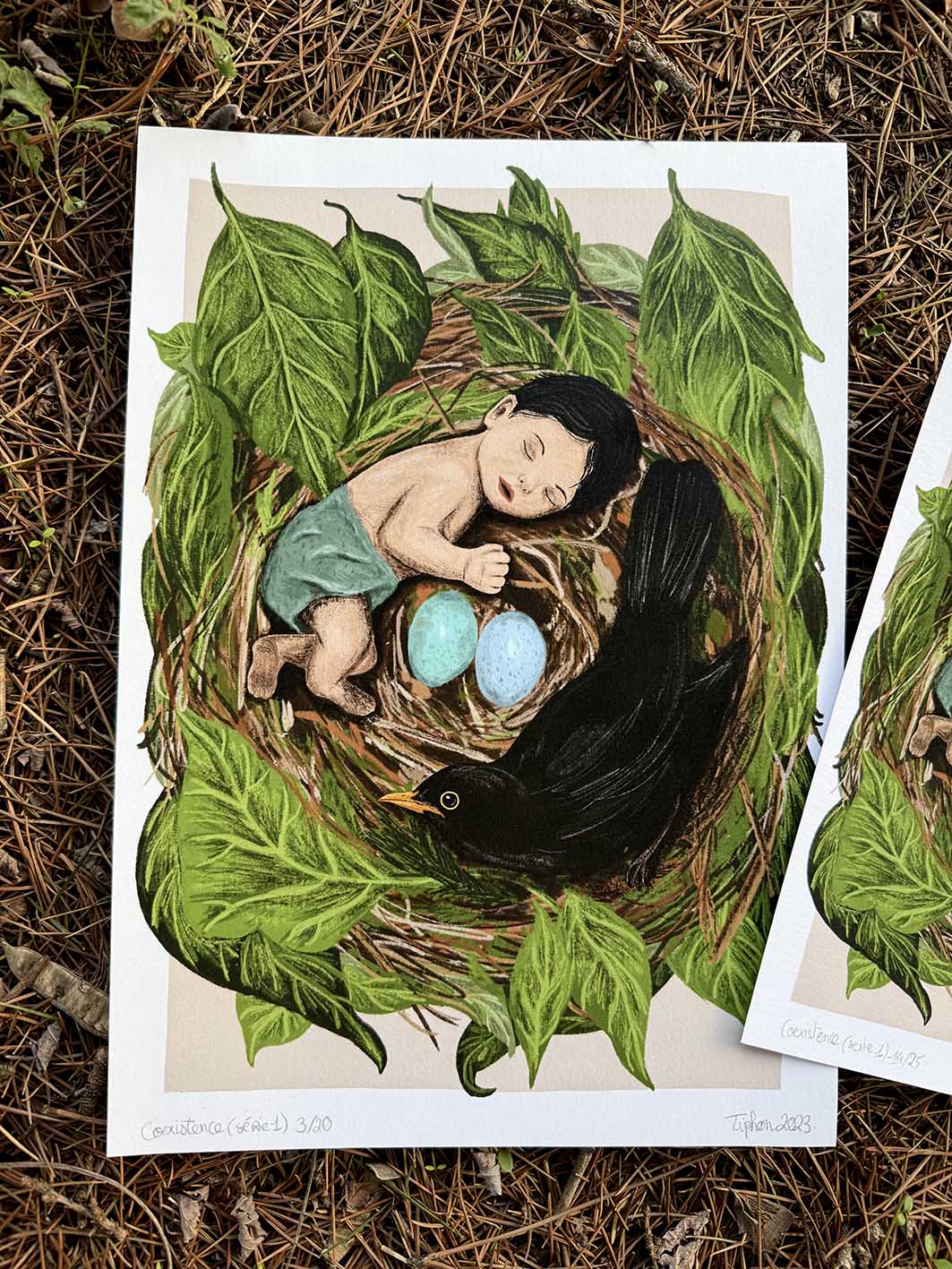 Coexistence - "enfant merle"