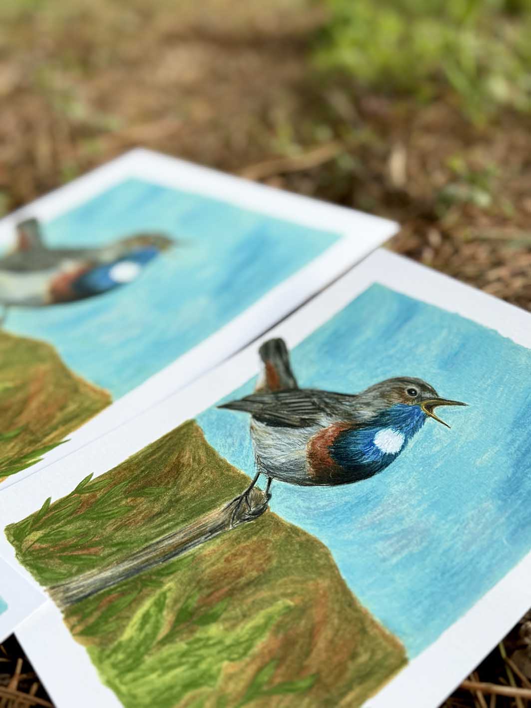 Gorgebleue à miroir