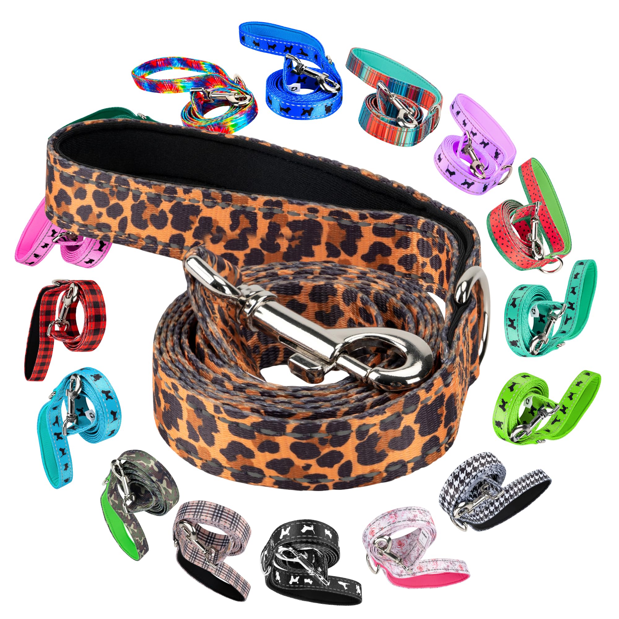 Colorful Dog Leashes