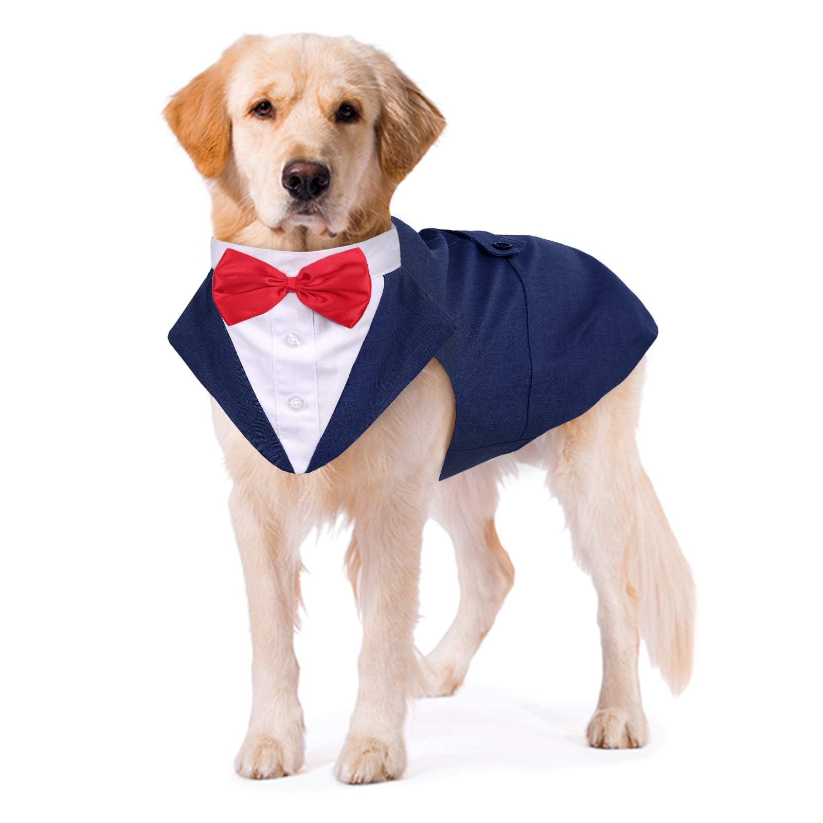 Dog Tuxedo Costume