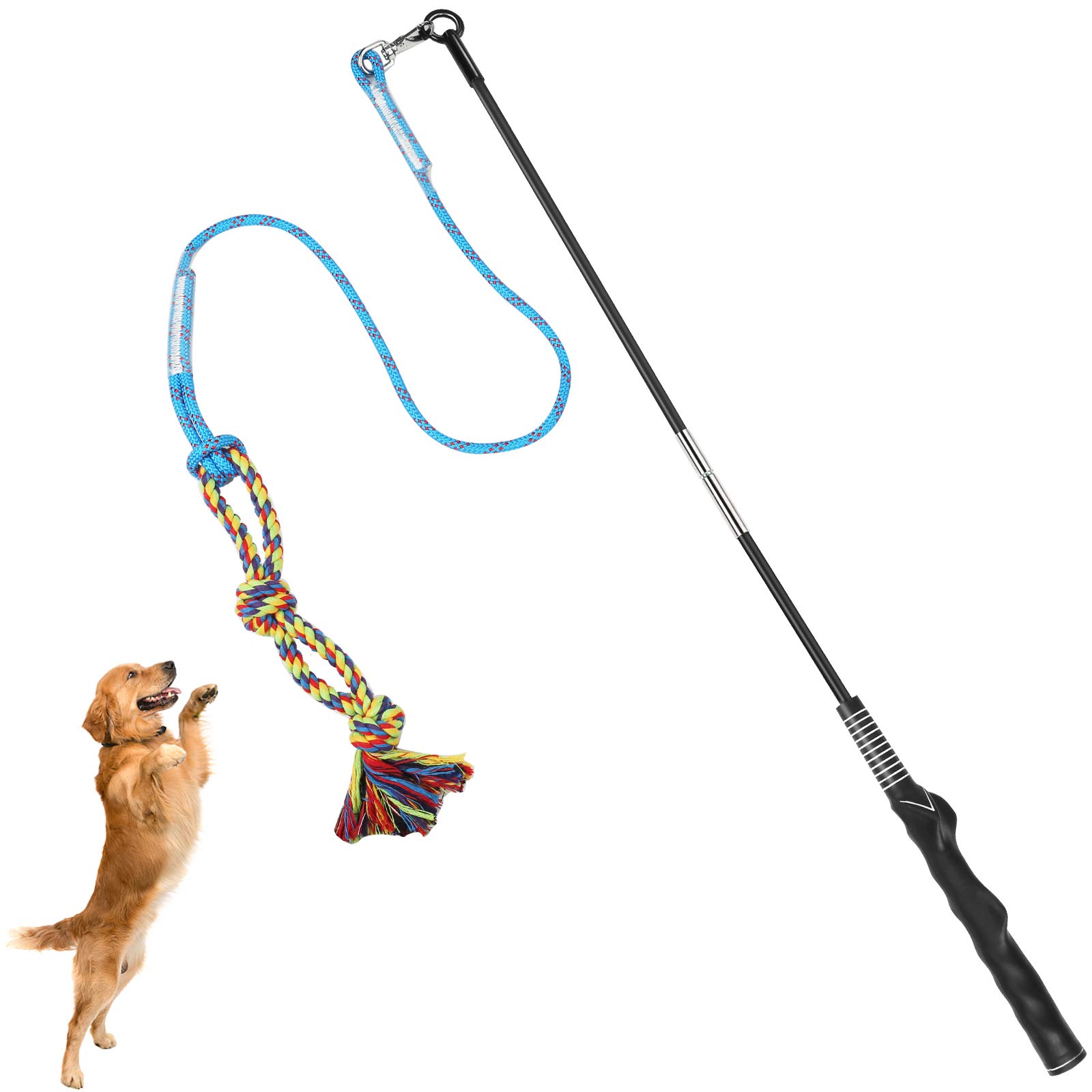 Dog Flirt Pole Toy