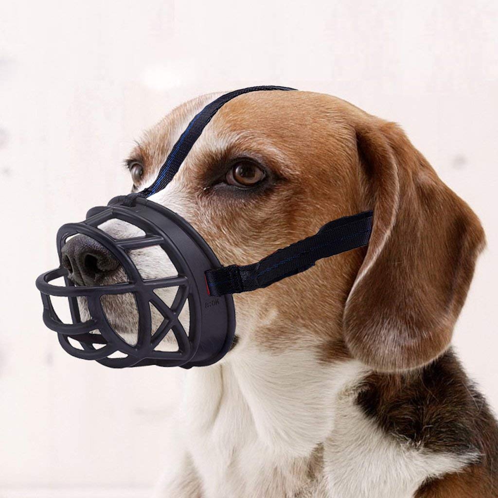 Dog Muzzle