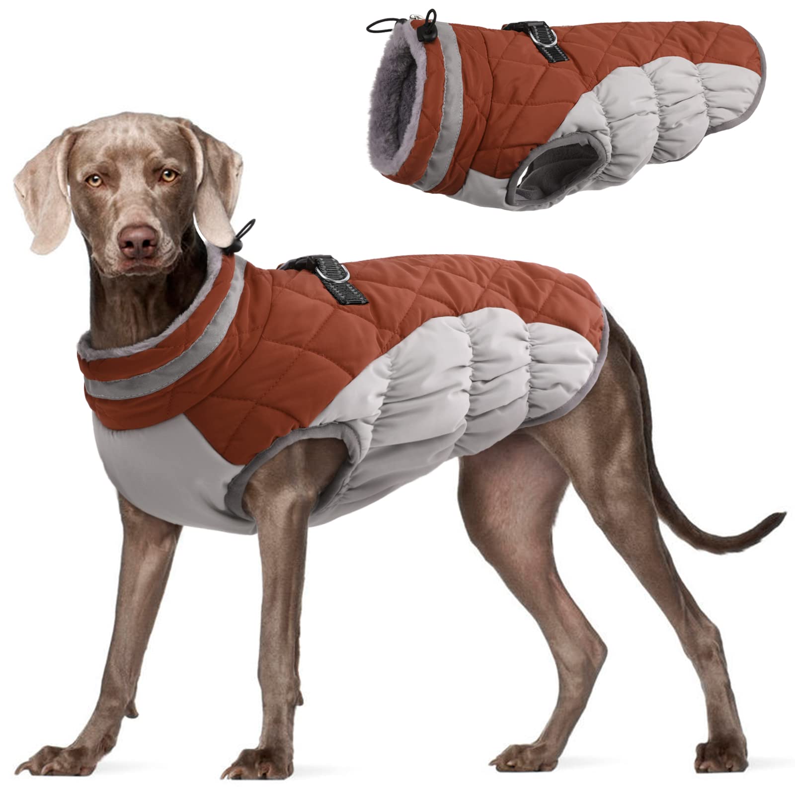 Insulated Dog Winter Coat