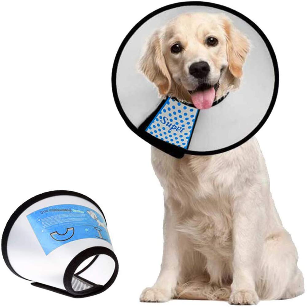 Dog Recovery Collar