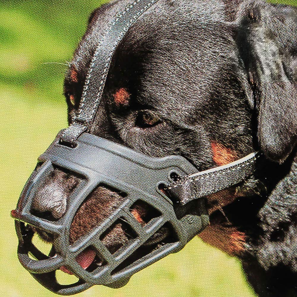 Dog Muzzle