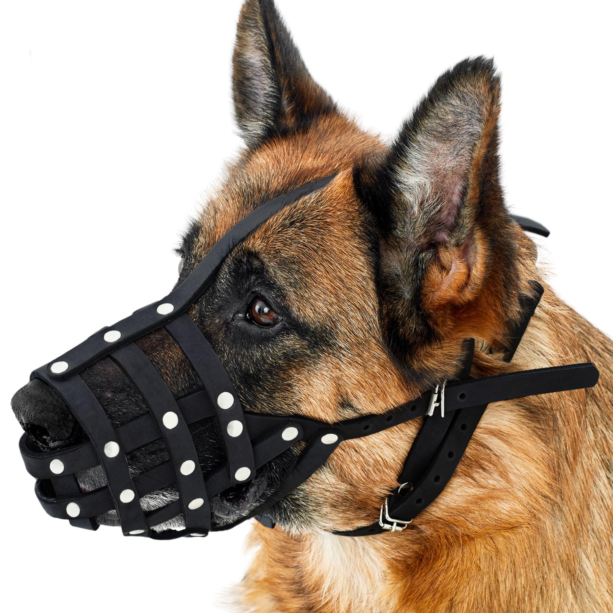 Adjustable Dog Muzzle