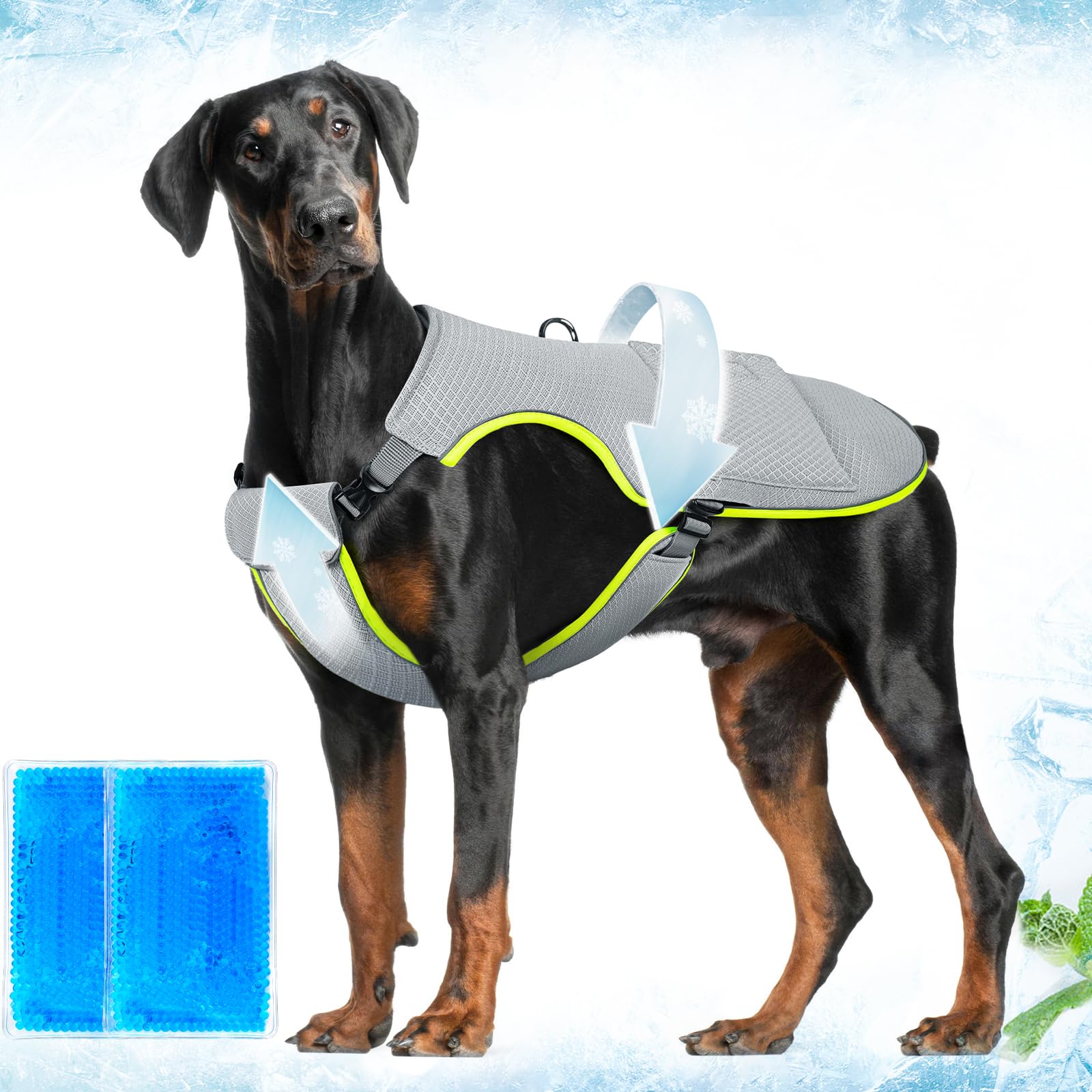 Dog Cooling Vest