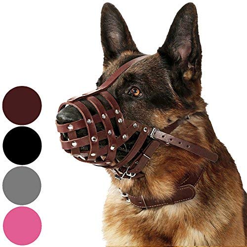 Leather Dog Muzzle