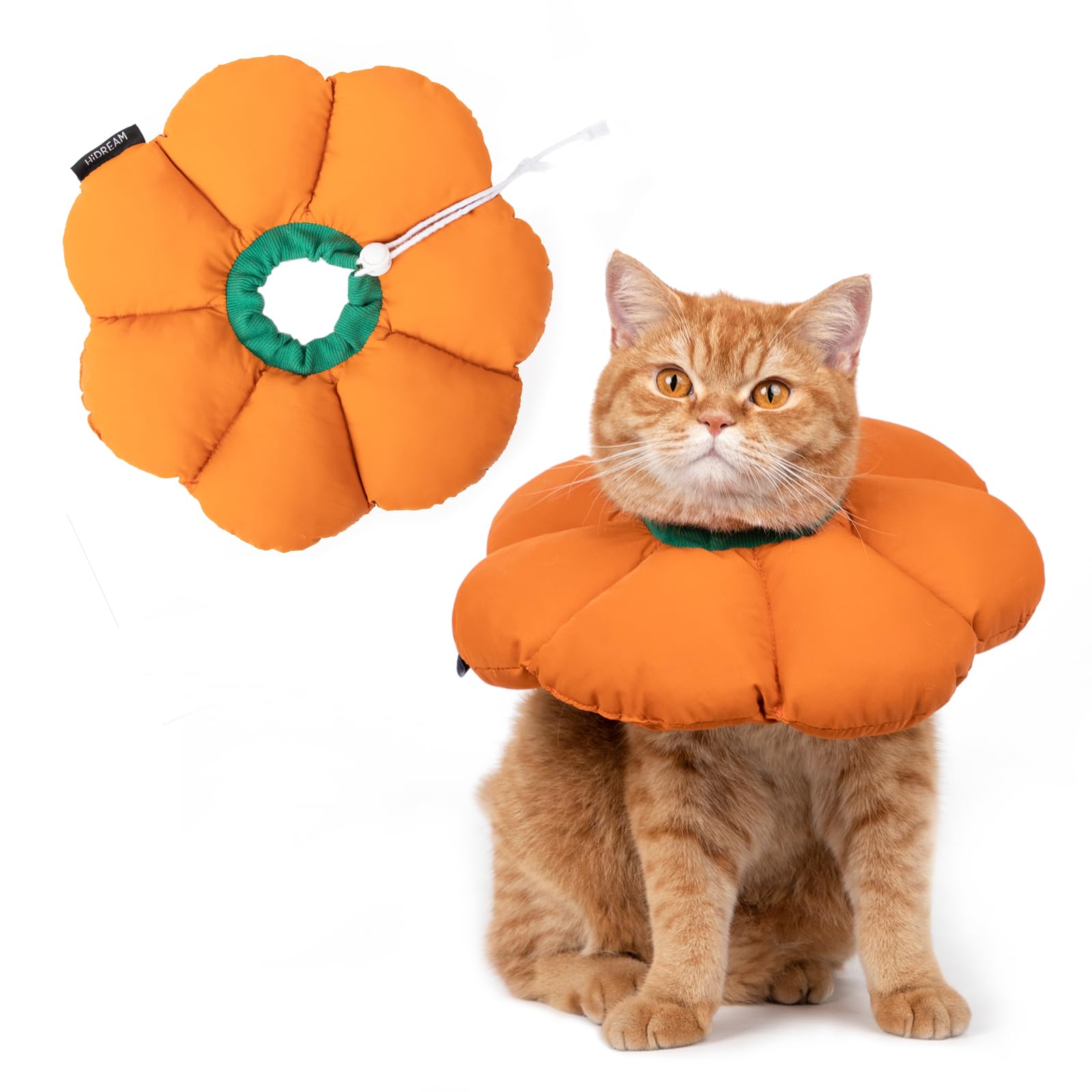 Pumpkin Pet Recovery Collar Cone