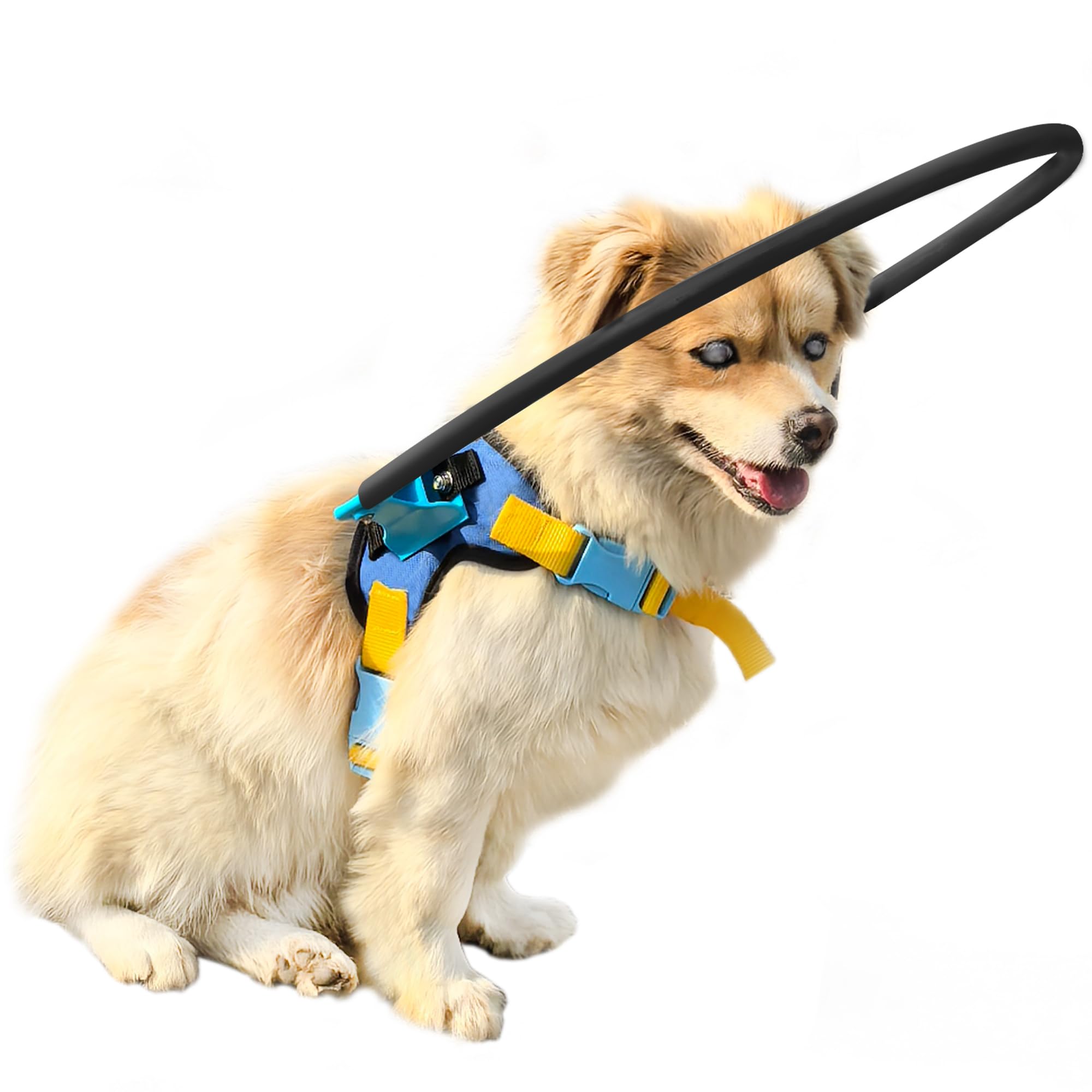 Dog Harness with Safety Halo