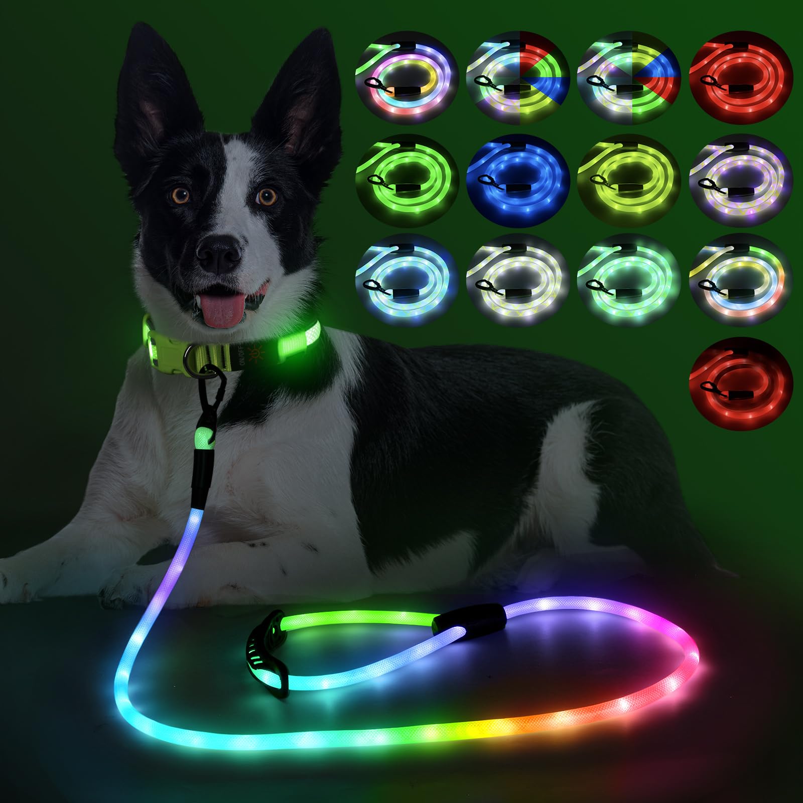 LED Dog Leash