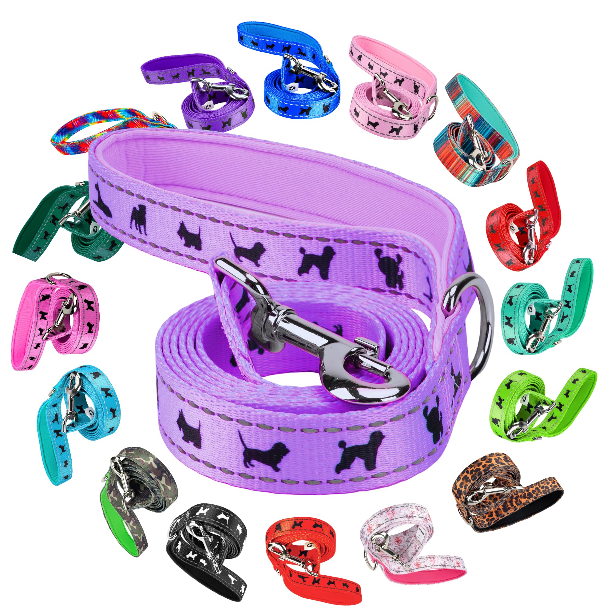 Colorful Dog Leash Collection