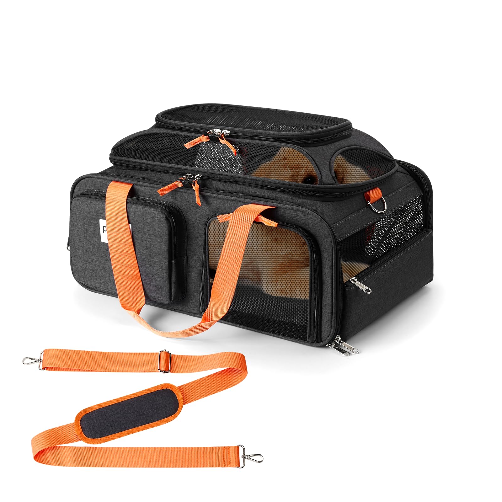 Expandable Pet Carrier