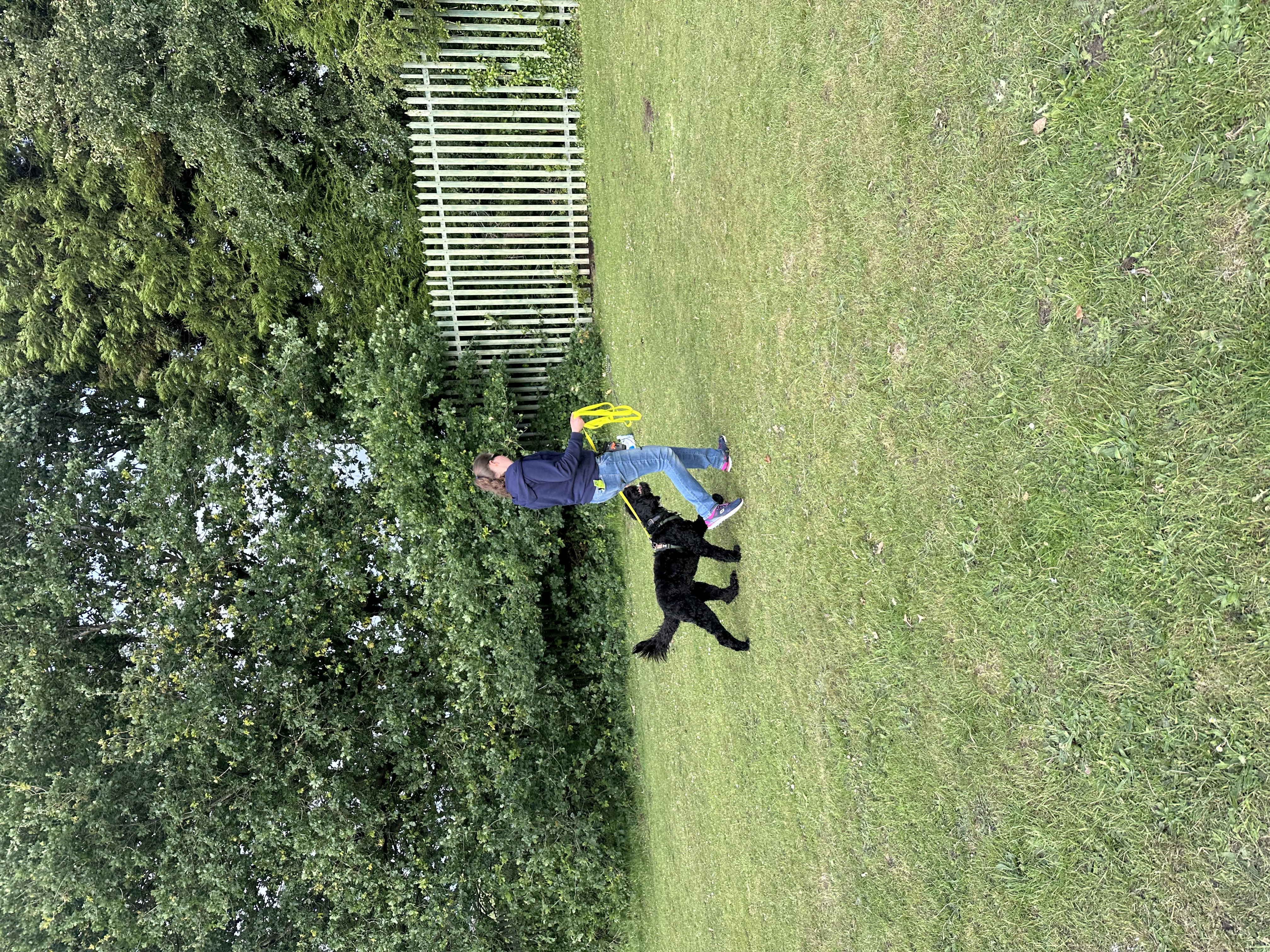 Focused 2 Hour 1:1 Loose Lead Course