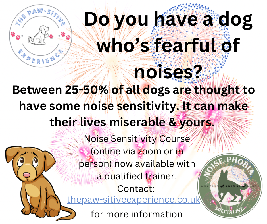 Noise Phobias Support. 5 x 1:1 Sessions