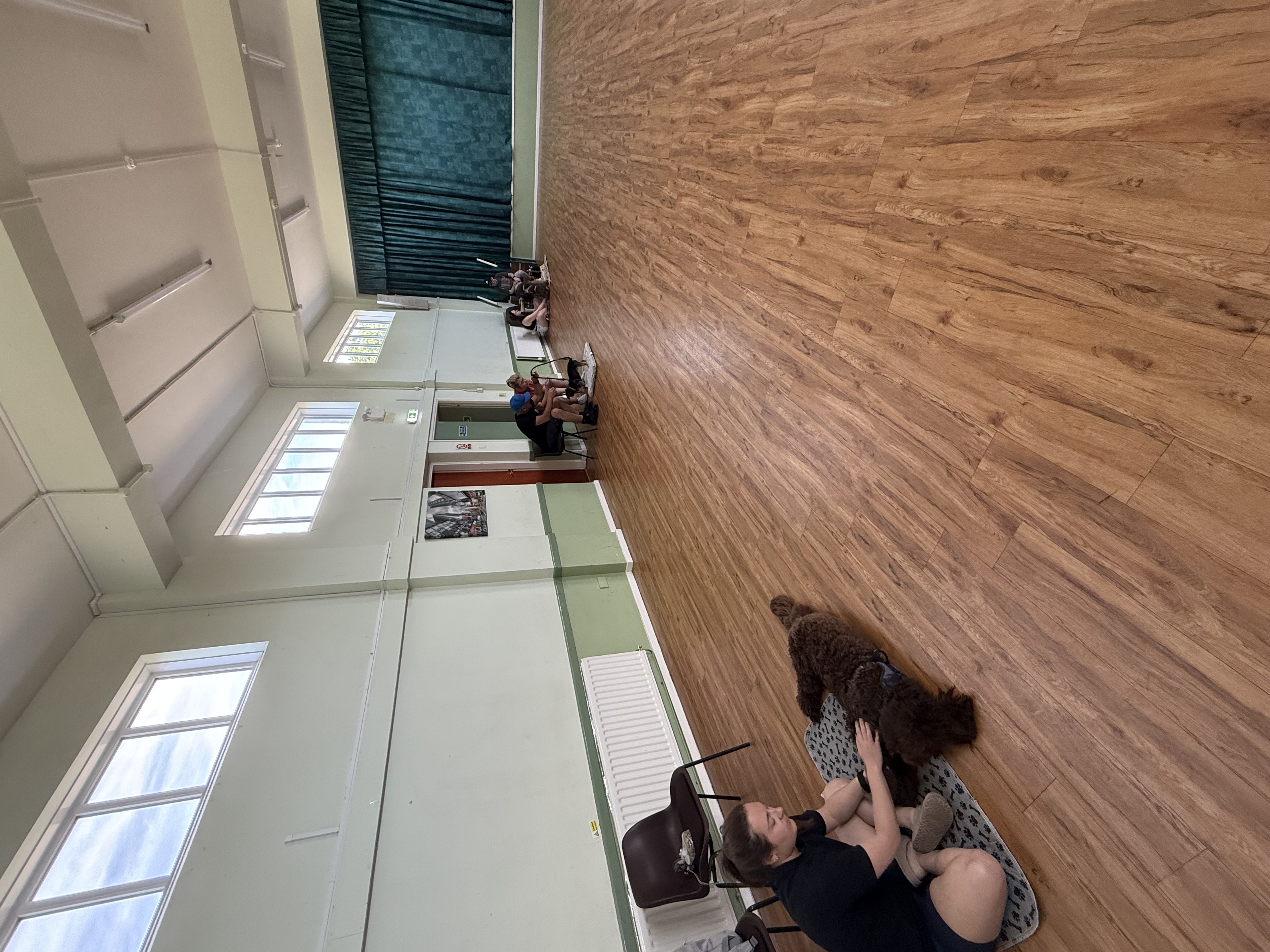 Pawsitive Teens - Adolescent Class 