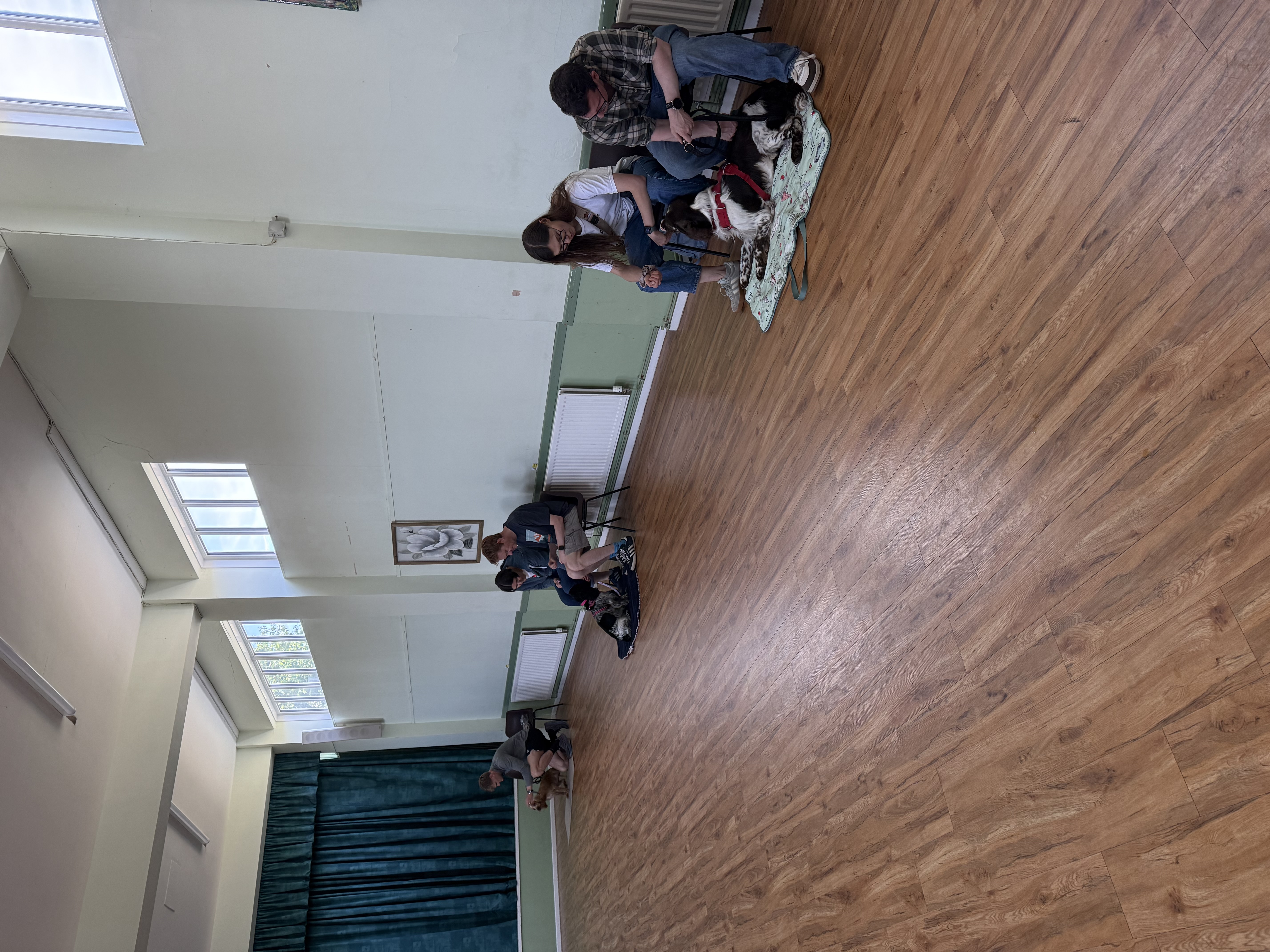 Pawsitive Teens - Adolescent Class 