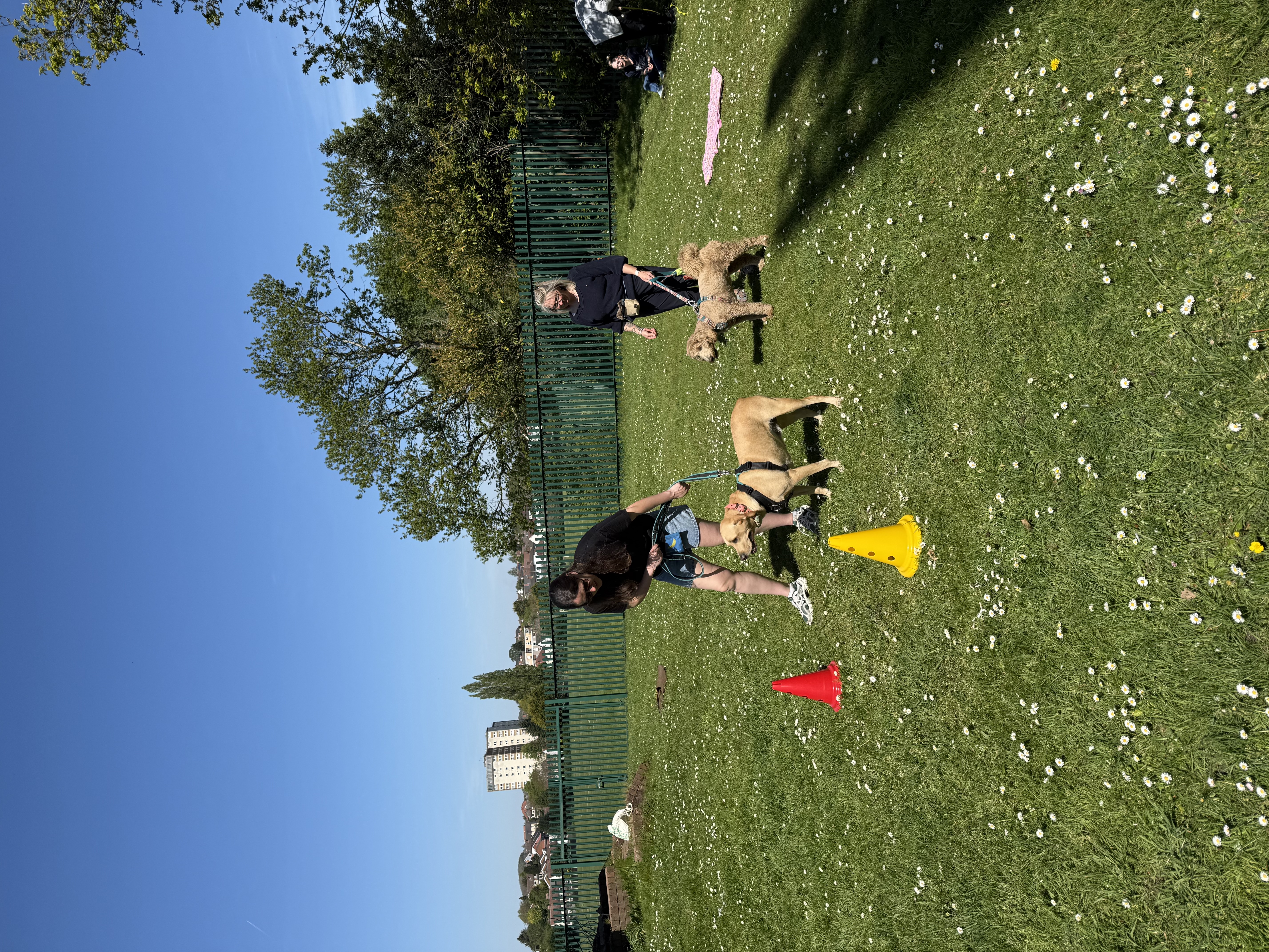 Fun Skills & Games Session