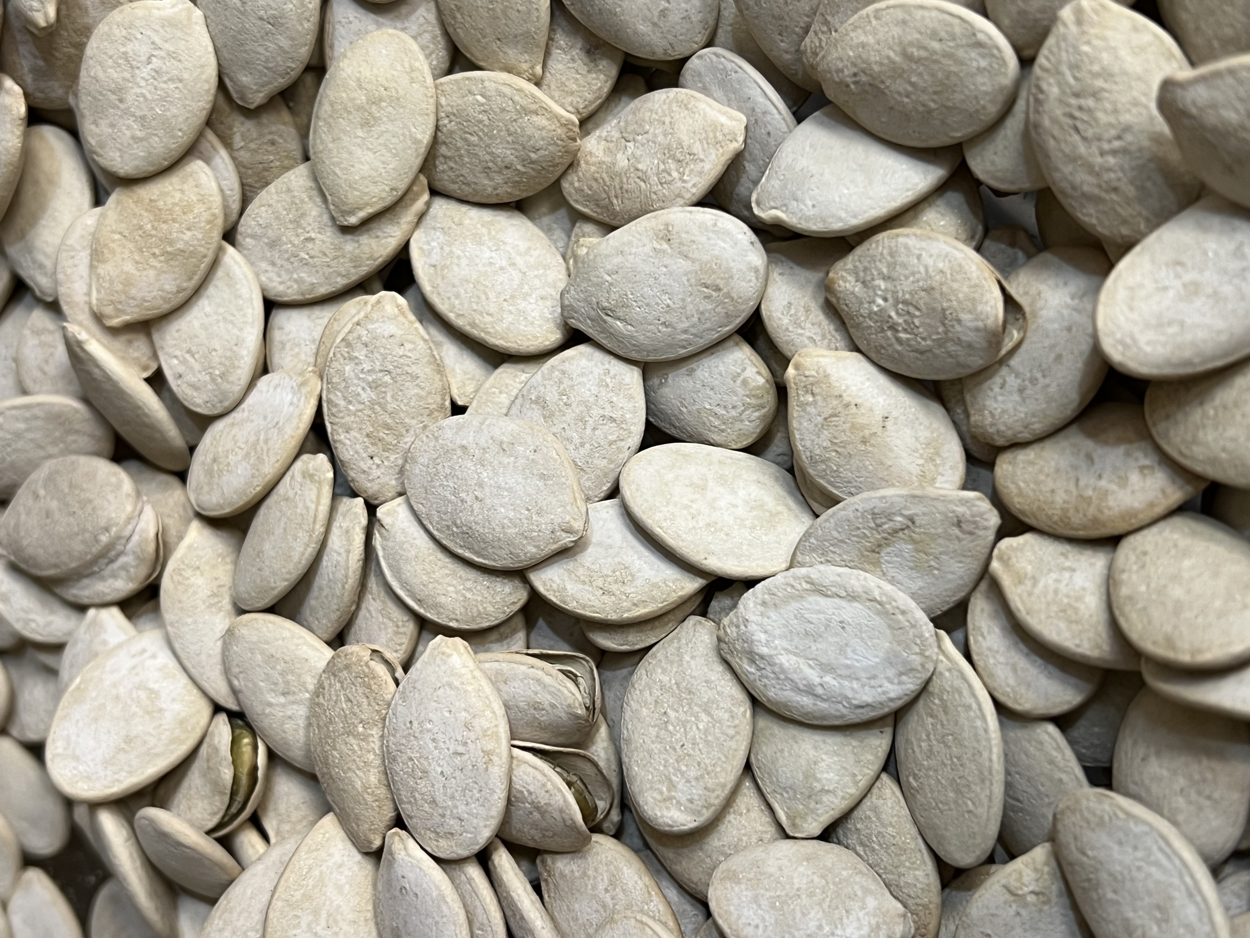 Pipas de calabaza tostadas con leña