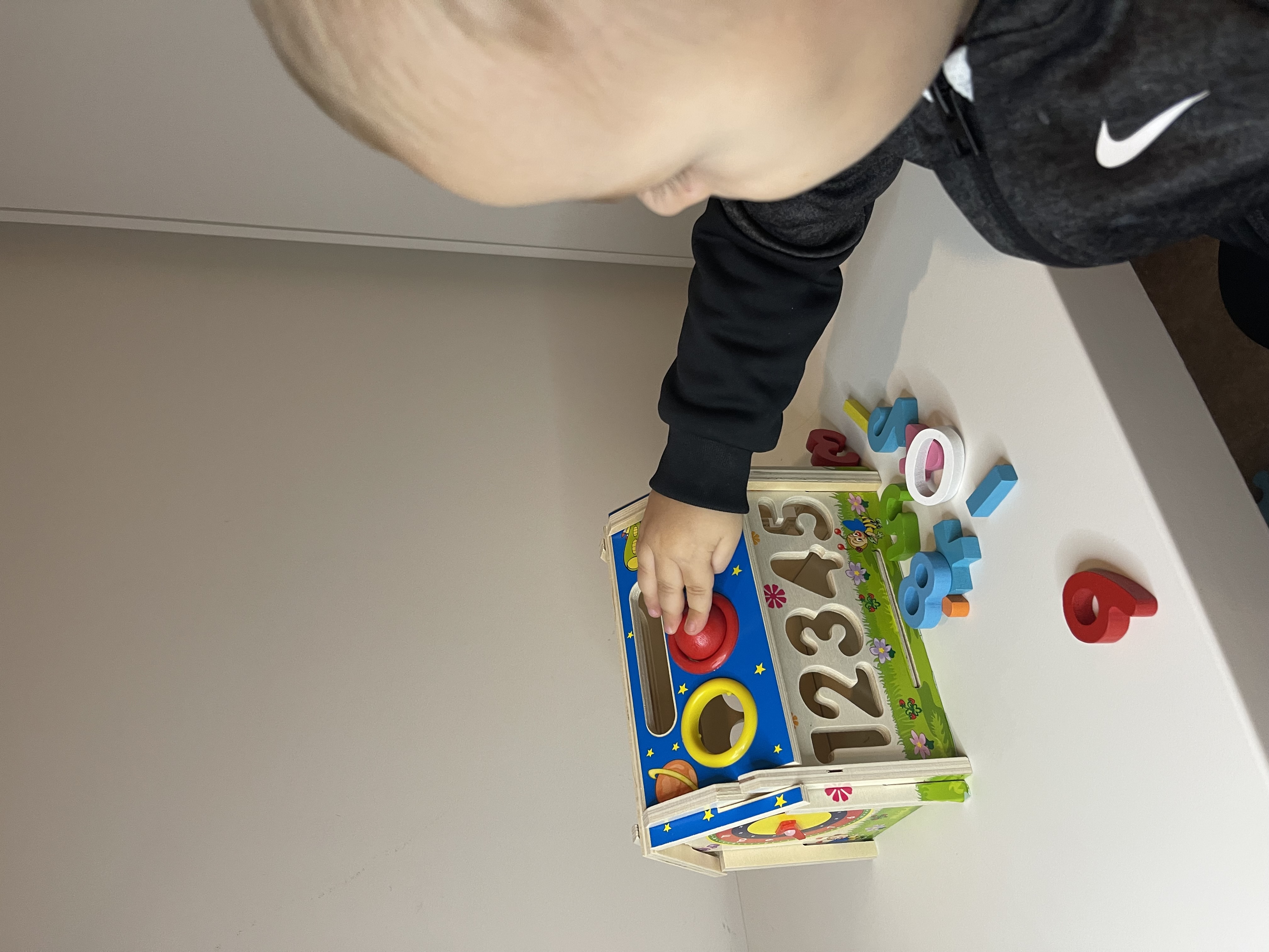 Wooden Montessori House Toy