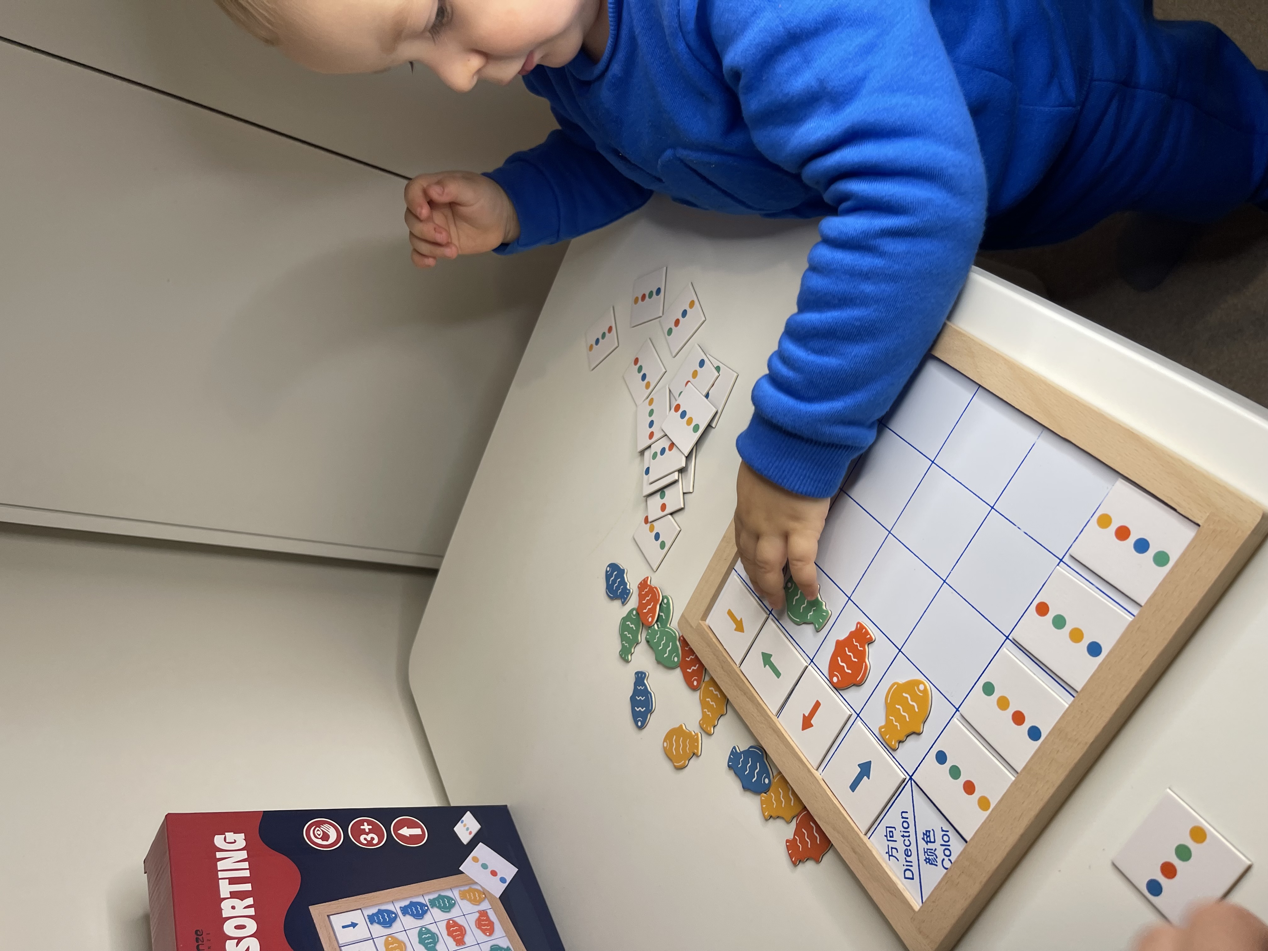 Fish Color and Direction Logic Puzzle Board Game