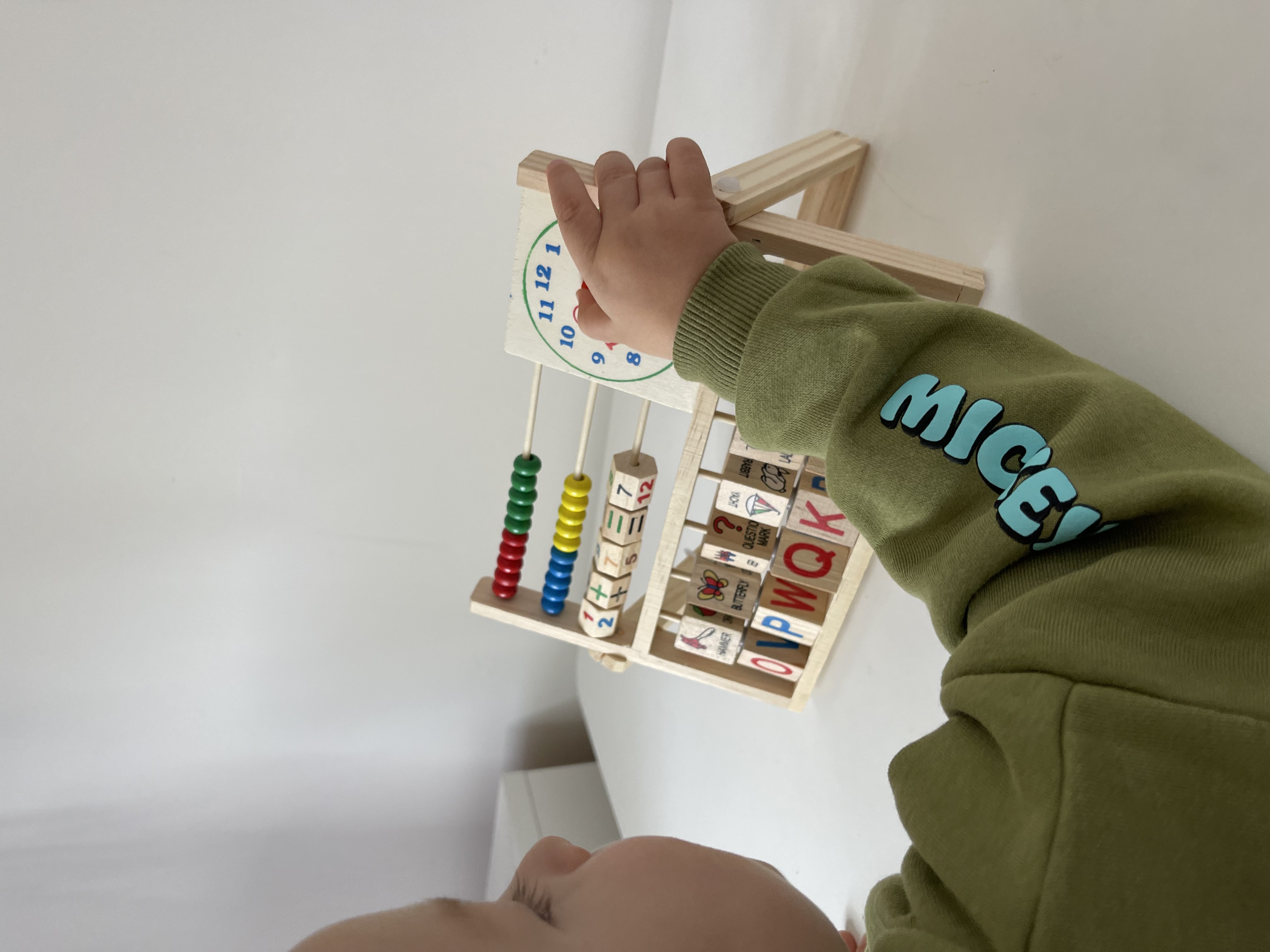 Wooden Educational Toy