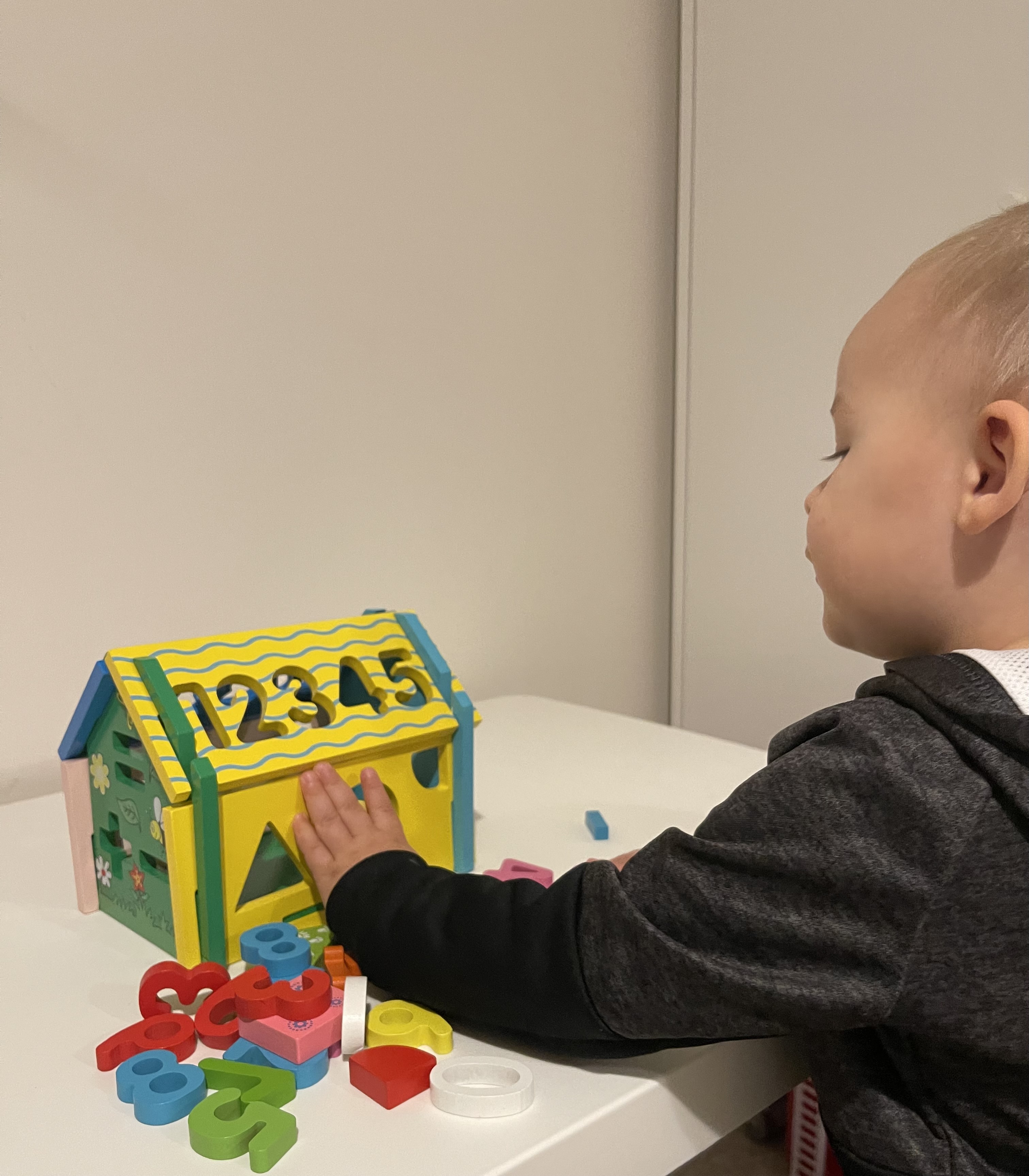 Wooden Educational Activity House