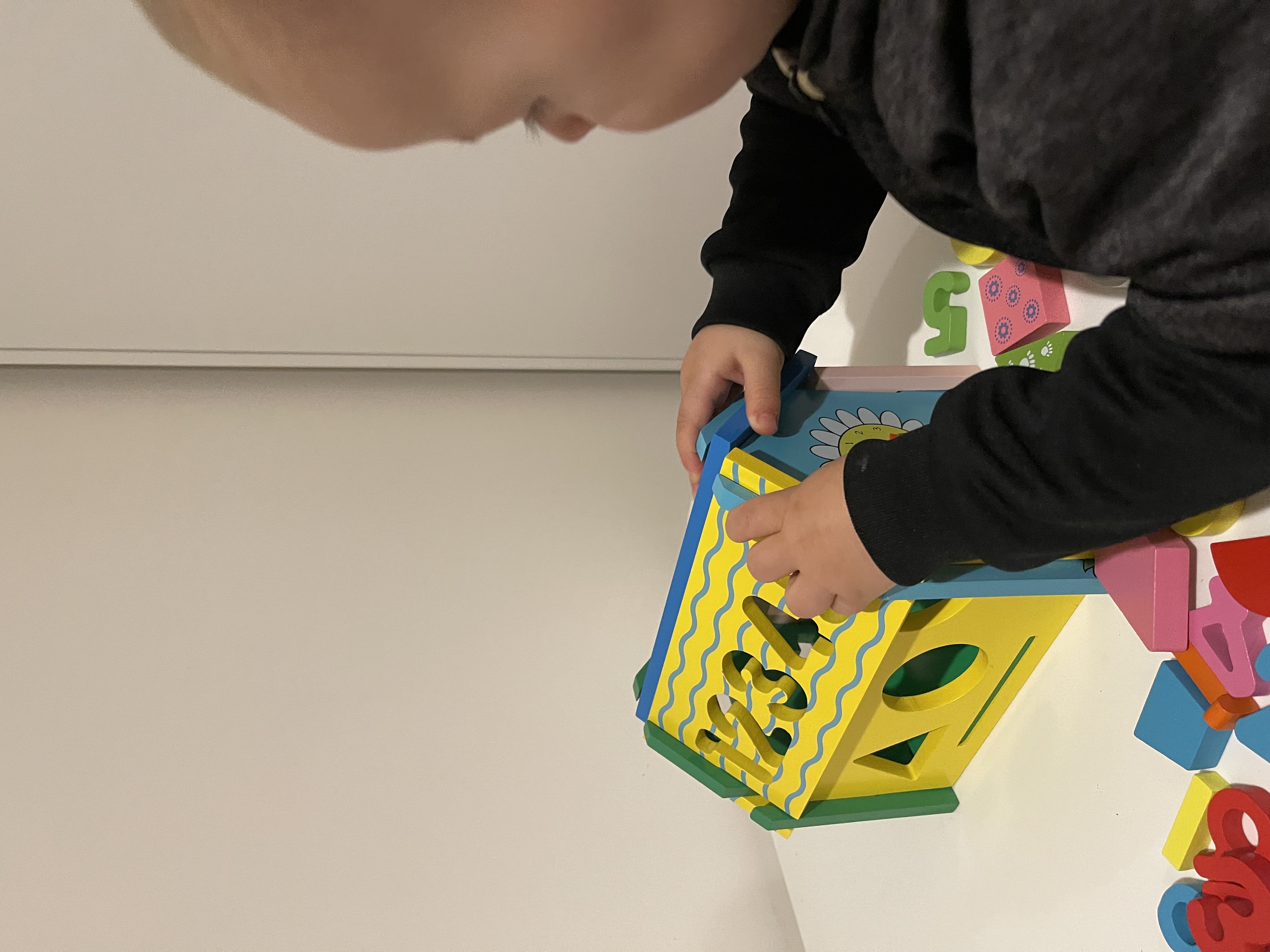 Wooden Educational Activity House